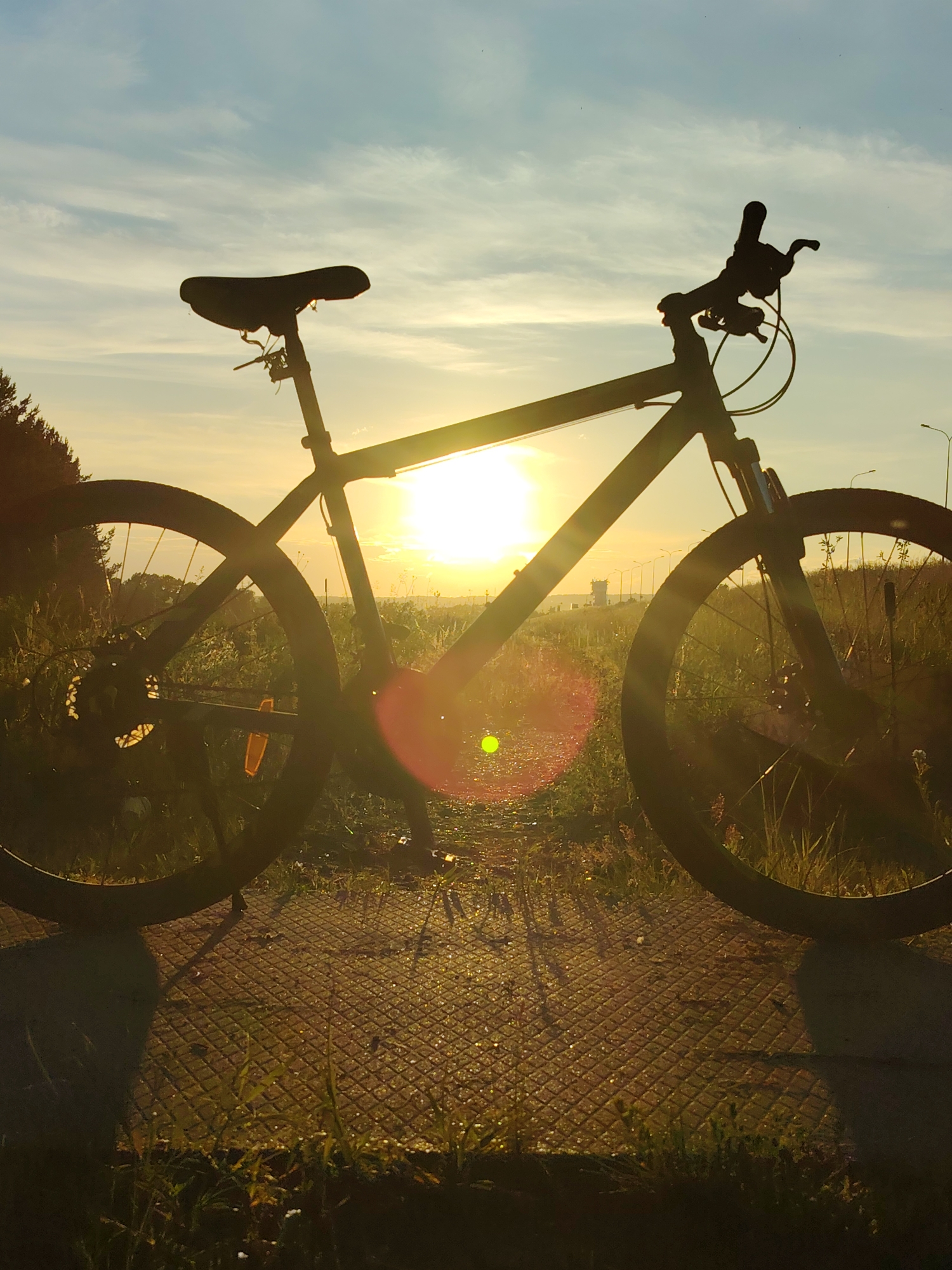 A silhouette of a bicycle is positioned in the foreground, angled slightly to the left, with its wheels on a textured, diamond-patterned surface. The setting sun, a bright orb, is visible behind the bicycle's frame, casting a warm glow and creating lens flare across the image. The sky above is a mix of blue and scattered white clouds. In the background, a line of streetlights and distant trees can be seen. The ground around the bicycle is covered in grass and appears slightly damp, with water droplets reflecting the sunlight. The overall scene is one of a tranquil outdoor setting at sunset, likely in a park or along a path in the city of Chaikovsky, Russia. There are no people or animals present in the image.