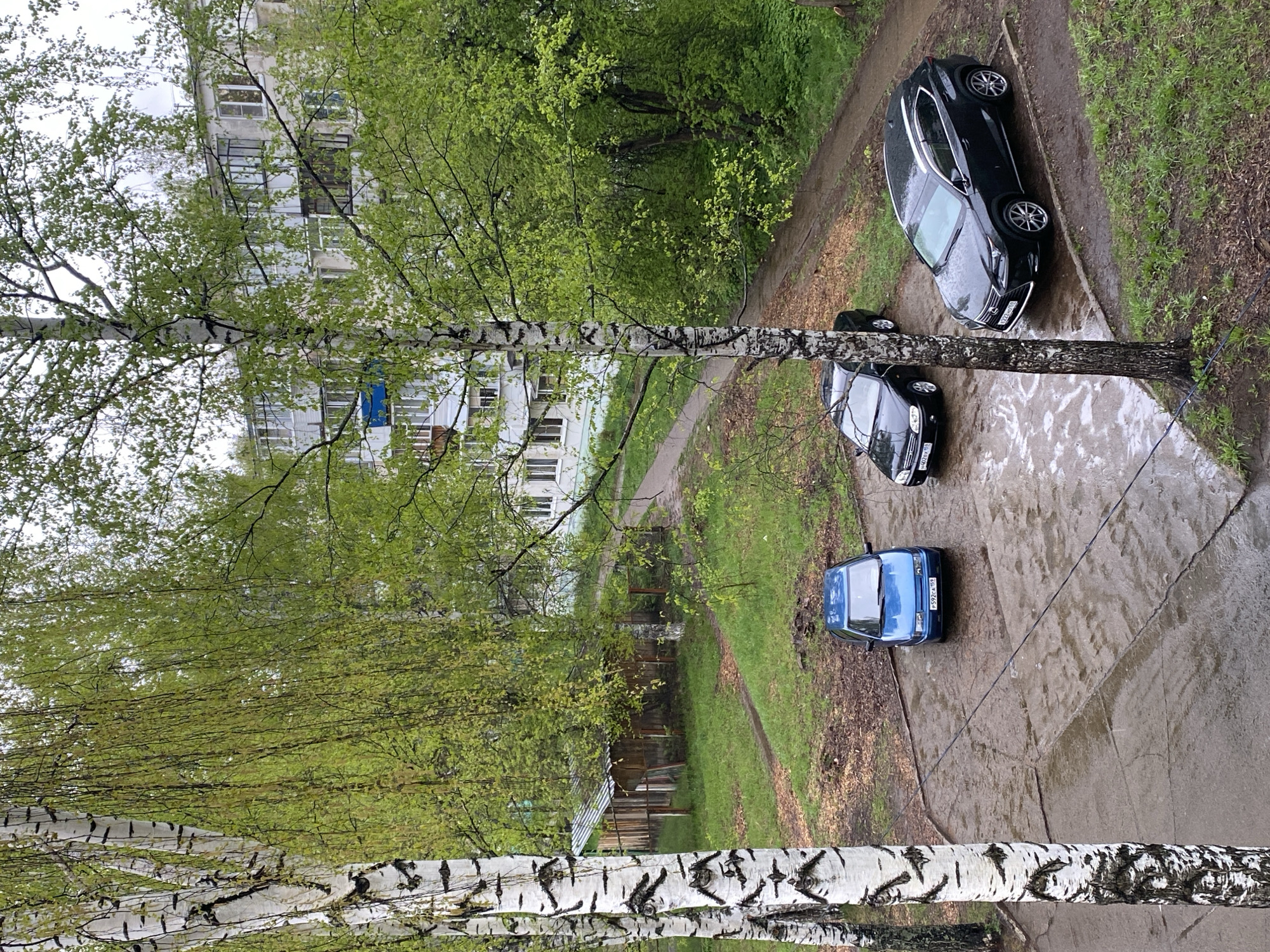 The image shows an outdoor scene in what appears to be a residential area in Chaikovsky, Russia. The view is from an elevated position, looking down at a parking area. Three cars are visible: a dark-colored SUV, a black sedan, and a blue sedan. Birch trees with characteristic white bark and black markings are in the foreground, partially obscuring the view. The ground appears wet, possibly from recent rain. A building with multiple windows is visible in the background behind the trees. There are grassy areas and a walkway alongside the parking space. A small shed is visible. There are power cables running diagonally across the space.