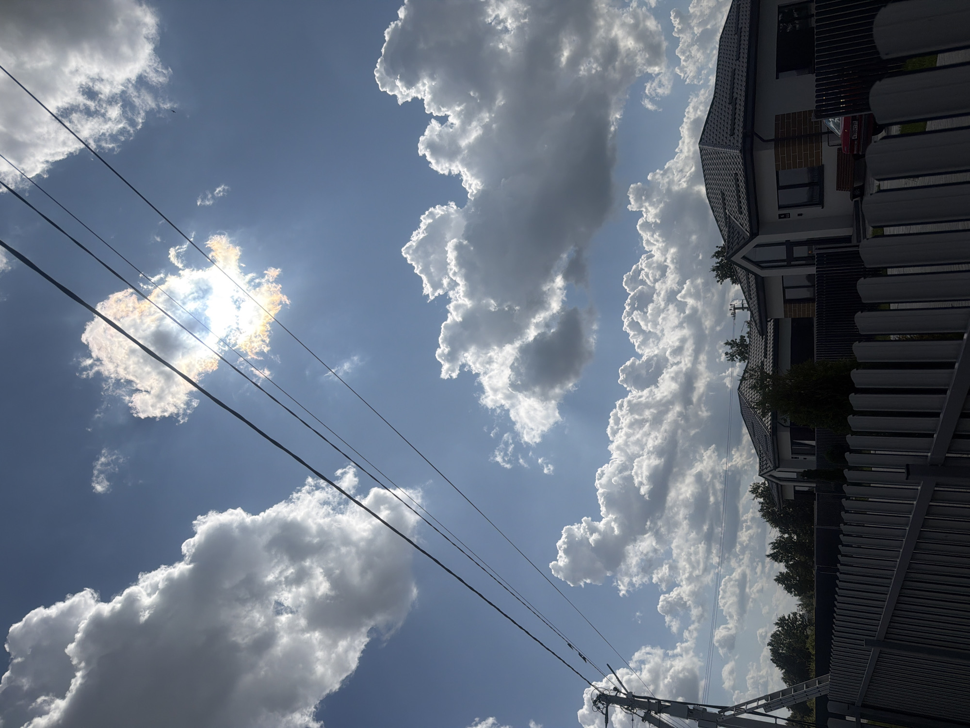 This image depicts a suburban scene in Golubevo, Russia, under a bright, partly cloudy sky. The foreground features a gray metal fence with vertical slats. Behind the fence, a row of modern houses with dark, angular roofs is visible. The houses have light-colored facades, some with brick accents, and large windows. A red car is parked in the driveway of one of the houses.
In the mid-ground, a line of trees forms a backdrop to the houses. A utility pole with electrical wires stretches across the scene, intersecting the sky. The sky itself is a vibrant blue, punctuated by large, fluffy white cumulus clouds. The sun is partially obscured by a cloud, creating a bright, lens-flare effect in the upper portion of the image. A small bird is visible in the sky. The overall impression is one of a sunny day in a residential area.
