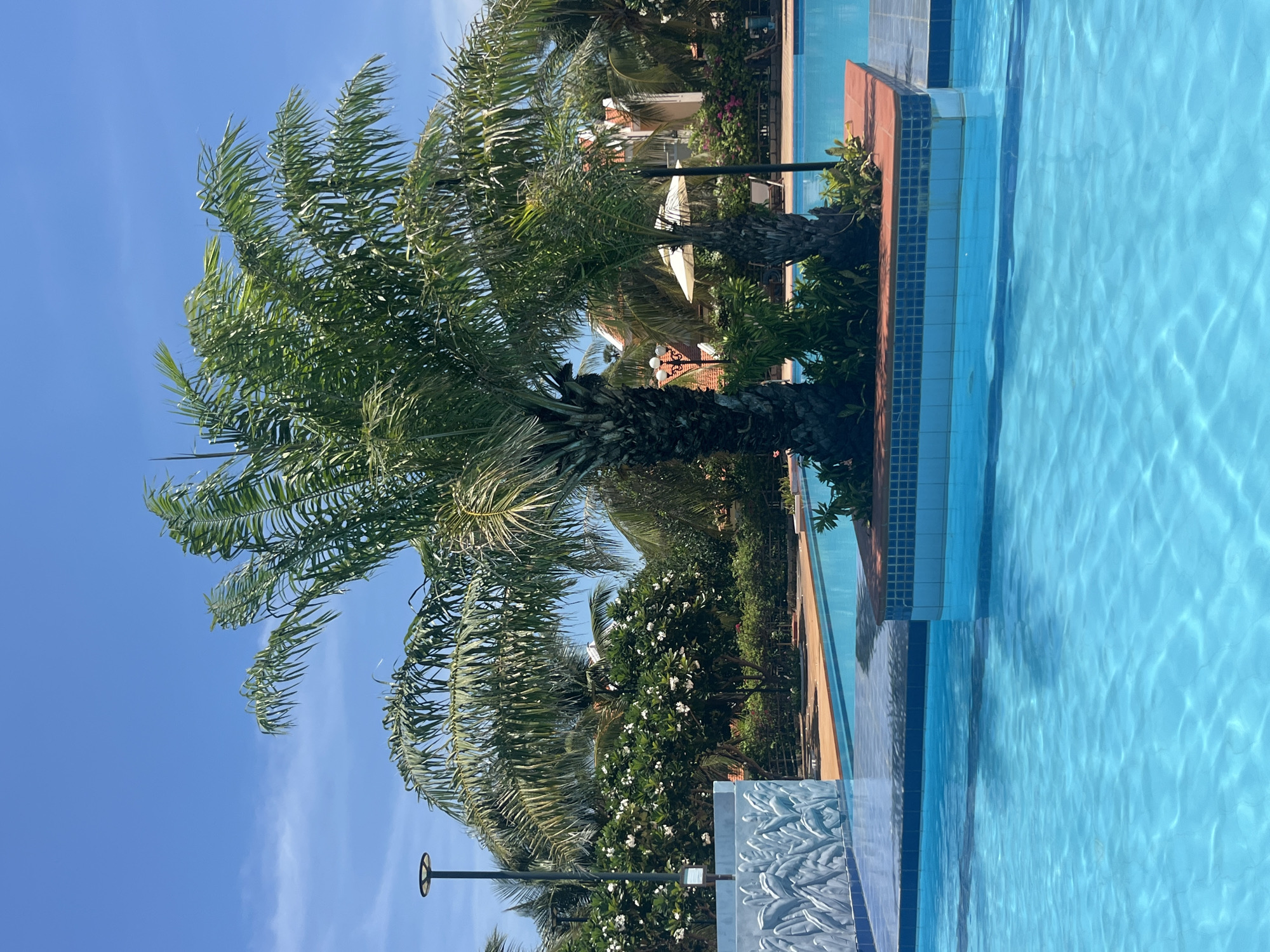 This is a photograph of a swimming pool area in Phu Thuy Ward, Vietnam. The image features a large, bright blue swimming pool with the sun glinting off its surface. In the center of the pool is a raised, tiled platform with a prominent palm tree and some smaller palm trees, surrounded by lush green foliage. To the left of the pool, there is a decorative wall with a textured pattern of leaves. In the background, more palm trees and other tropical vegetation are visible, along with buildings with orange tiled roofs and a clear blue sky. A street lamp is also visible on the left side of the frame. There are no people visible in the image. The scene appears to be a resort or hotel setting, emphasizing a tropical vacation ambiance.