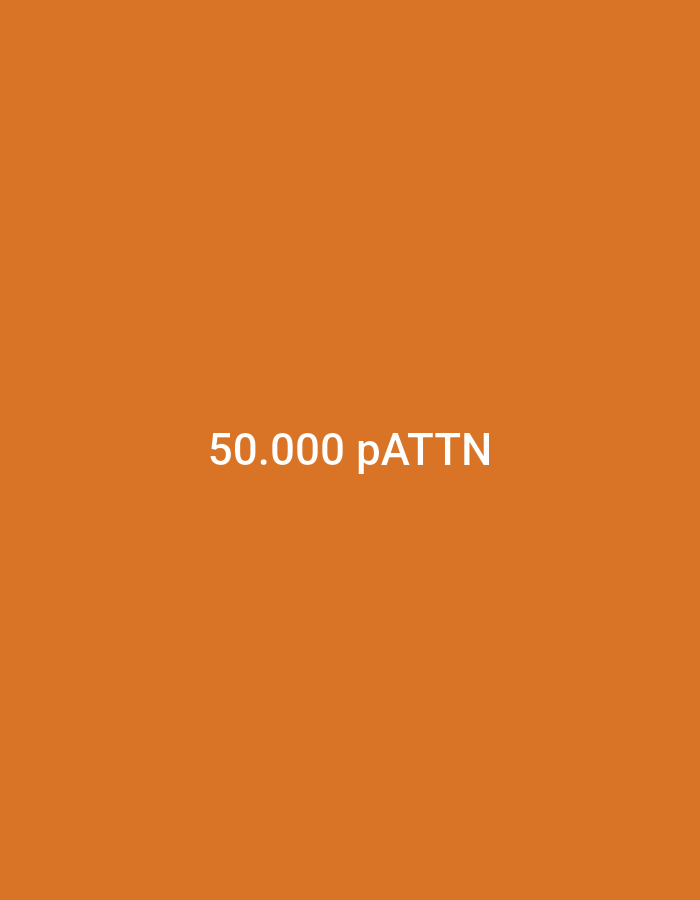 A white text that says "50.000 pATTN" is centrally displayed on an orange background. The background is a solid, uniform color with no discernible features or context relating to the city of Lhokseumawe, Indonesia. The image does not depict any people, subjects, objects, actions, interactions, or environmental details.