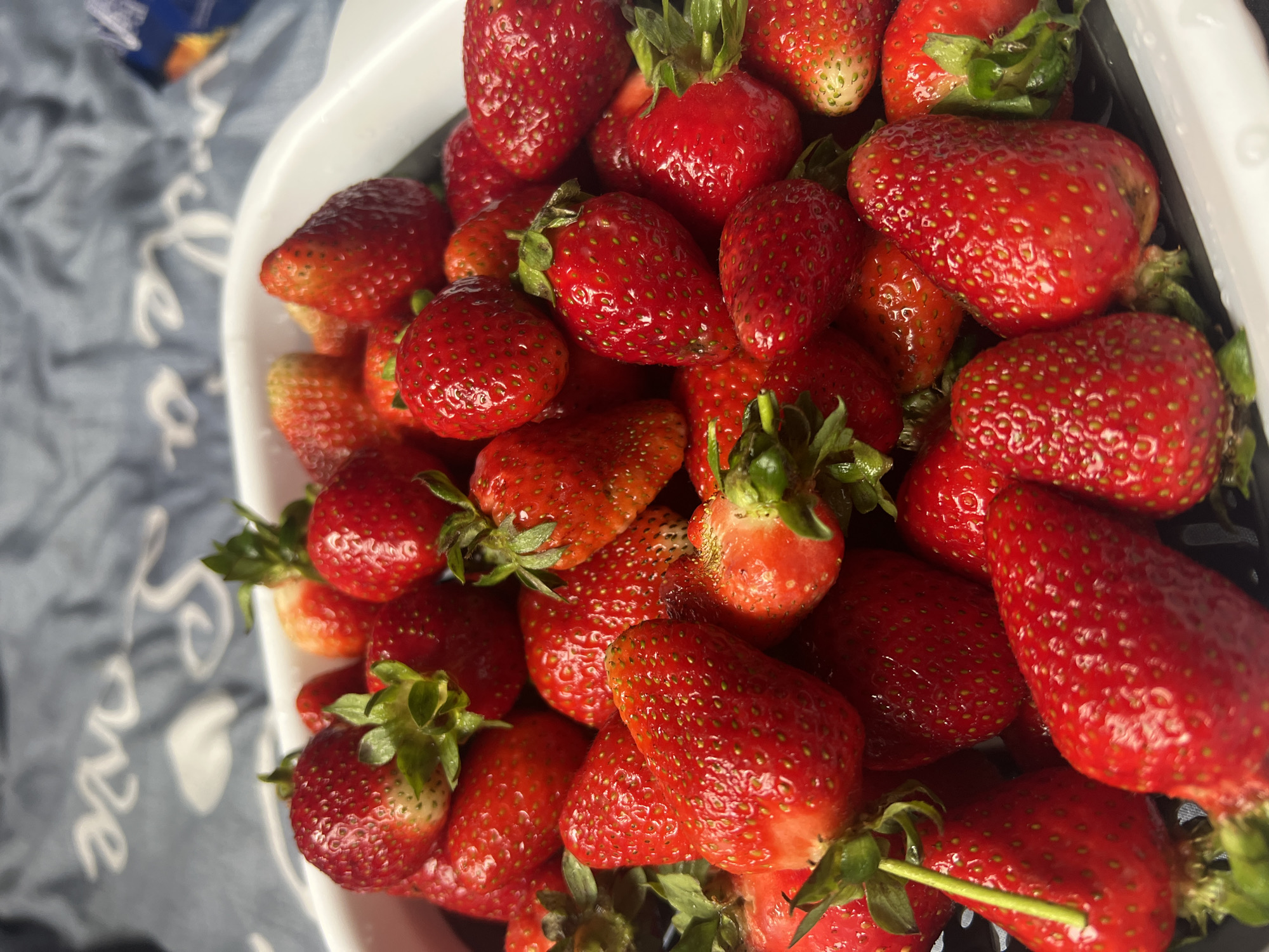 A close-up, high-angle shot shows a white square container filled with red strawberries with green stems. The strawberries are of varying sizes and ripeness. The container rests on a gray cloth or blanket. The location is indeterminable.