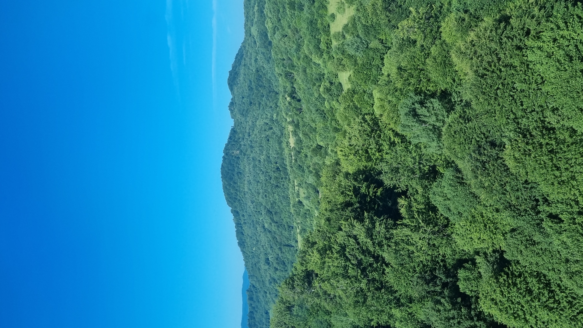 This image depicts a verdant landscape dominated by lush green forests under a clear blue sky. In the foreground, the canopy of dense trees stretches out, with varying shades of green indicating different species or light exposure. The middle ground features rolling hills also covered in dense forest, creating a textured, undulating terrain. In the distance, a larger, rounded mountain, entirely blanketed in trees, forms the horizon. Faintly visible on the far left, are the outlines of additional hills or mountains. The scene is devoid of human presence or any man-made structures, emphasizing a natural, wild environment. The location is specified as Volosianka, Ukraine, suggesting this is a panoramic view of the region's natural scenery.
