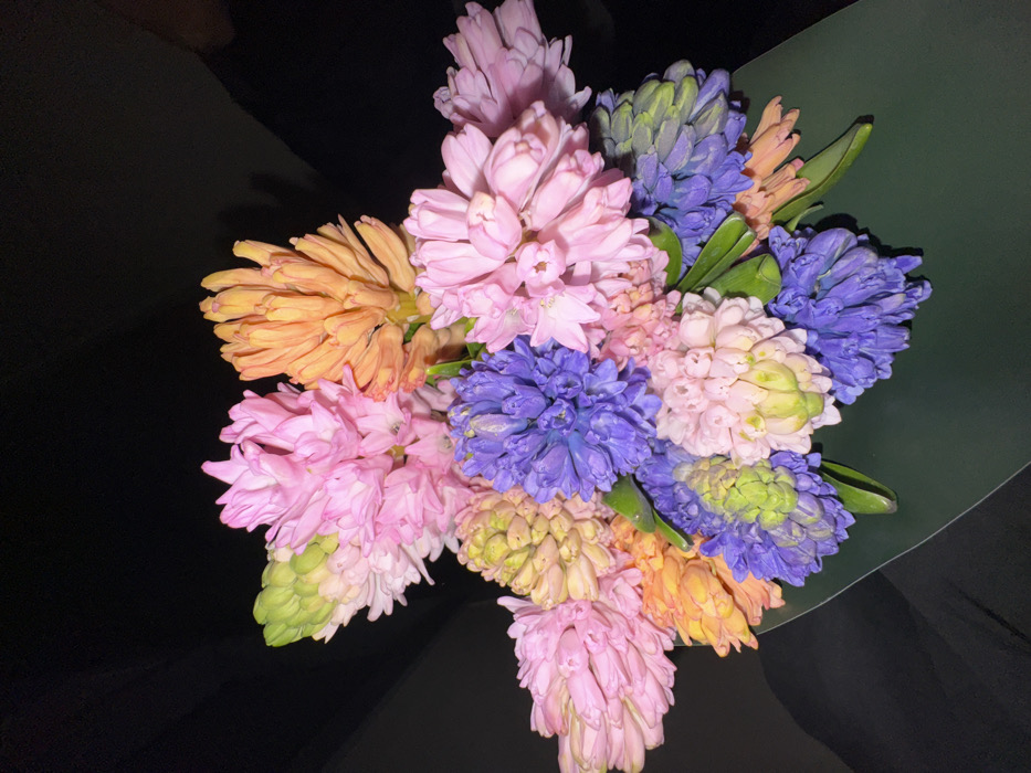The image displays a bouquet of hyacinths in various stages of bloom, located in Moscow, Russia. The arrangement features numerous flower spikes exhibiting a spectrum of colors including bright pink, pale pink, orange, vibrant purple, lighter purple, and yellowish-green. The individual florets are tightly clustered along the stem. The base of the bouquet is wrapped in a dark green, non-reflective material. The background is uniformly dark, suggesting an indoor environment or nighttime conditions with direct lighting on the flowers. A faint, dark, human-like silhouette is indistinctly visible in the upper right background, implying the presence of an individual. No specific actions or interactions are clearly discernible beyond the implied handling of the bouquet.