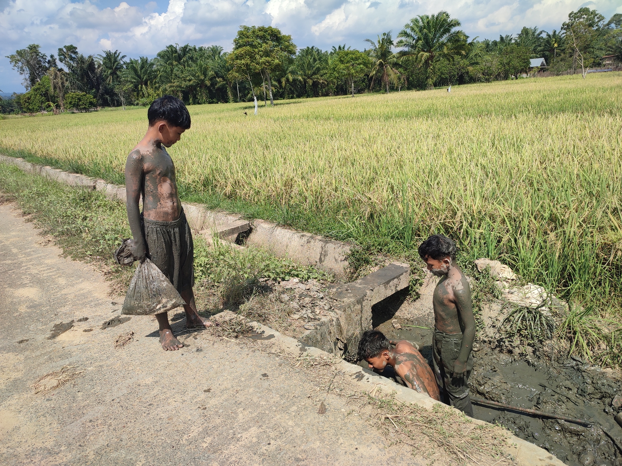 In Lhokjok, Indonesia, three boys are covered in mud while working in a drainage ditch adjacent to a rice field. One boy stands on the concrete pathway, holding a plastic bag covered in mud. Another boy is partially submerged in the mud-filled ditch. The third boy is visible within the ditch's muddy water. The background features a ripe rice field under a partially cloudy sky, with trees and a building visible in the distance.