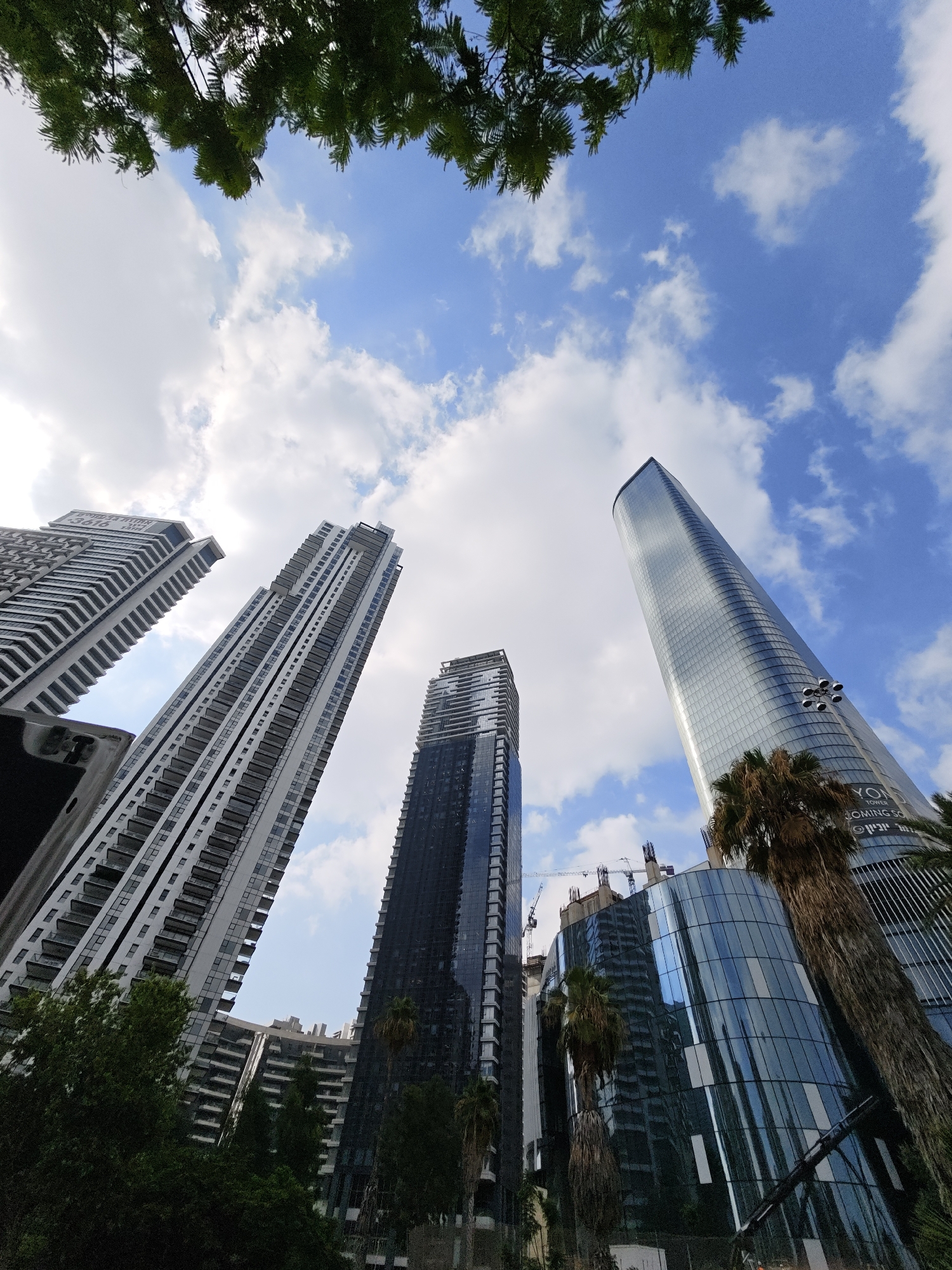 The image shows a low-angle view of modern skyscrapers in Tel Aviv, Israel, on a partly cloudy day. The foreground is dominated by the top of a lush green tree, with its branches reaching into the upper left corner of the frame.
Several tall buildings are visible. On the far left, a residential building with numerous balconies and a repeating pattern of windows is partially obscured. To its right, another very tall, slender skyscraper features a white facade with repeating horizontal lines and numerous balconies. Further to the right, a dark, glass-covered skyscraper rises steeply. In the center-right, a curved, modern building with a glass facade is under construction, with cranes visible behind it. The tallest building in the image, on the far right, is a sleek, oval-shaped skyscraper with a predominantly glass exterior, reflecting the blue sky and clouds. A sign on this building reads "YON TOWER COMING SOON" in English and Hebrew. Palm trees are visible in front of this building and the one under construction. The sky is a bright blue with scattered white clouds. The overall impression is one of urban development and modern architecture.