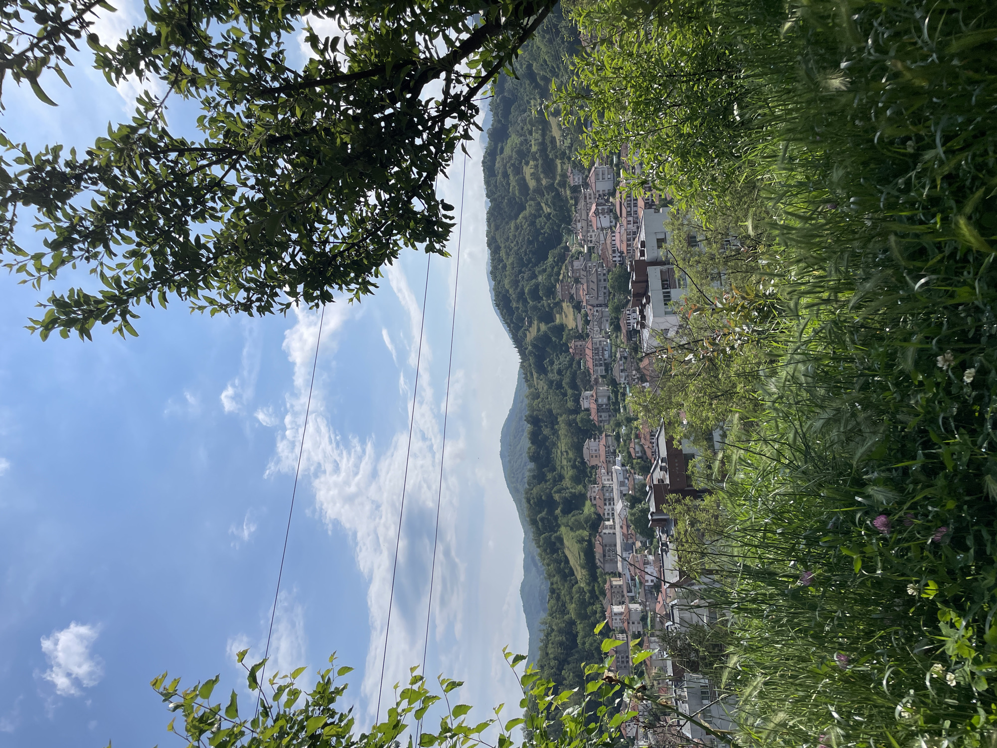 This landscape photograph captures a scenic view of Zlatograd, Bulgaria, from an elevated vantage point on a clear, sunny day. The scene is rich in natural elements, framed by lush green foliage in the foreground. Thick tree branches with abundant green leaves partially obscure the upper and left portions of the frame, while tall green grasses and some small, light-colored flowers border the right and lower right edges.
In the mid-ground, a town is nestled on a gentle slope, its numerous buildings characterized by light-colored facades and reddish-brown tiled roofs. The houses appear to be closely packed, suggesting a dense residential area. Several utility lines extend horizontally across the mid-section of the sky, passing over the town.
Beyond the town, the background is dominated by rolling mountains, heavily covered in dense green forests, indicating a rich natural environment. The sky above is a bright, clear blue, adorned with scattered, fluffy white cumulus clouds. The strong sunlight illuminates the entire scene, casting clear shadows and highlighting the vibrant green of the vegetation. The time of day appears to be late morning or early afternoon due to the bright, direct sunlight. There are no people visible, nor any discernible text in the image. The overall impression is one of a peaceful, picturesque town integrated into a verdant, mountainous landscape.
