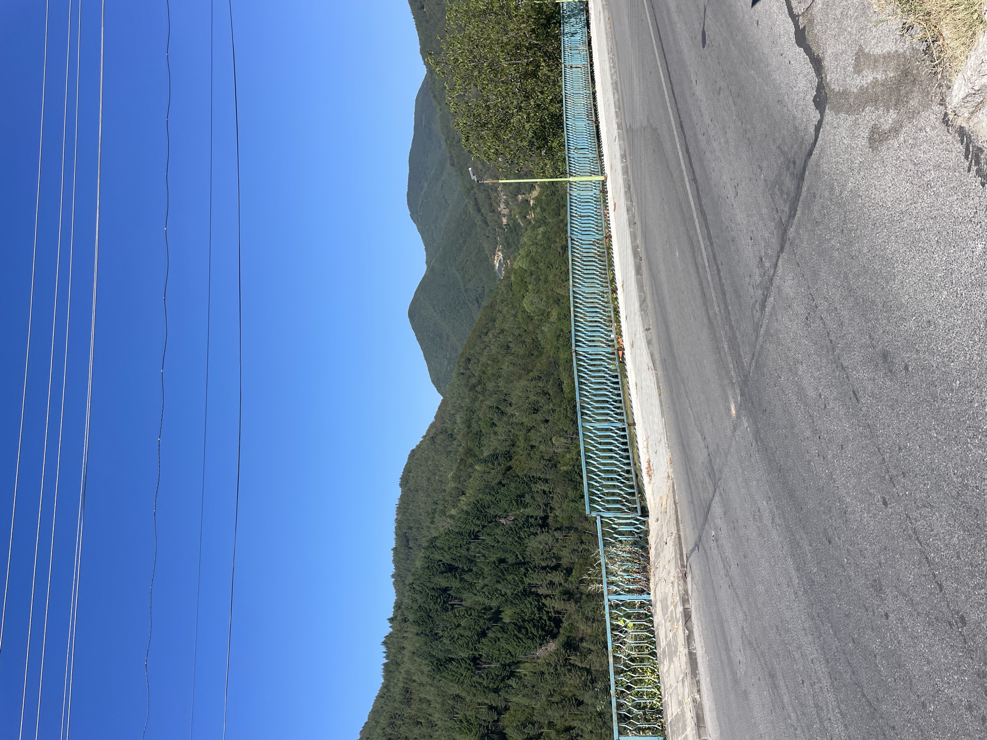 The image depicts a rural scene in Oryahovets, Bulgaria, featuring a road in the foreground and a lush, forested mountainside in the background. The road appears to be paved with asphalt and shows signs of wear, with some darker patches that might indicate recent repairs or spills. A low, light blue metal railing with an ornate design runs along the side of the road, bordering a sidewalk or pedestrian area. Beyond the railing, the terrain slopes upwards, covered in dense green foliage consisting of numerous trees, predominantly evergreens. The mountains are rolling and covered in the same dense forestation, with some lighter green patches possibly indicating clearings or different types of vegetation. The sky above is a clear, vibrant blue, devoid of clouds. Power lines are visible in the upper portion of the image, stretching across the sky. A single, pale green lamppost stands near the railing on the right side of the image. The overall impression is one of a serene, natural landscape in a mountainous region, with a road providing access. There are no people or animals visible in the frame.