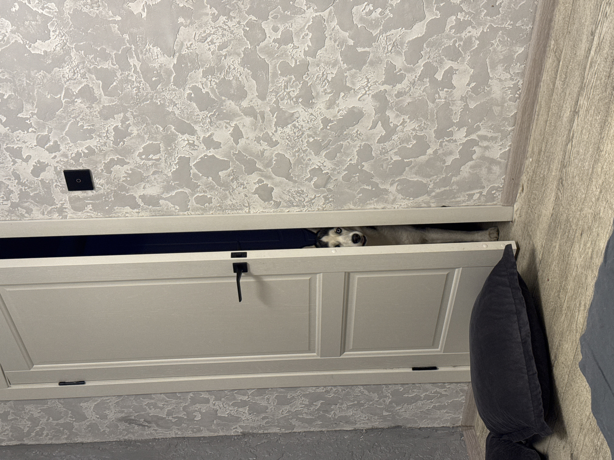 A canine peers out from behind a white cabinet. The canine is gray and white. The cabinet is partially open and has black hardware. A gray pillow rests against the side of the cabinet. The walls and ceiling have a textured gray pattern. A black electrical outlet is visible on the ceiling. The location of the image is Unknown, Unknown.