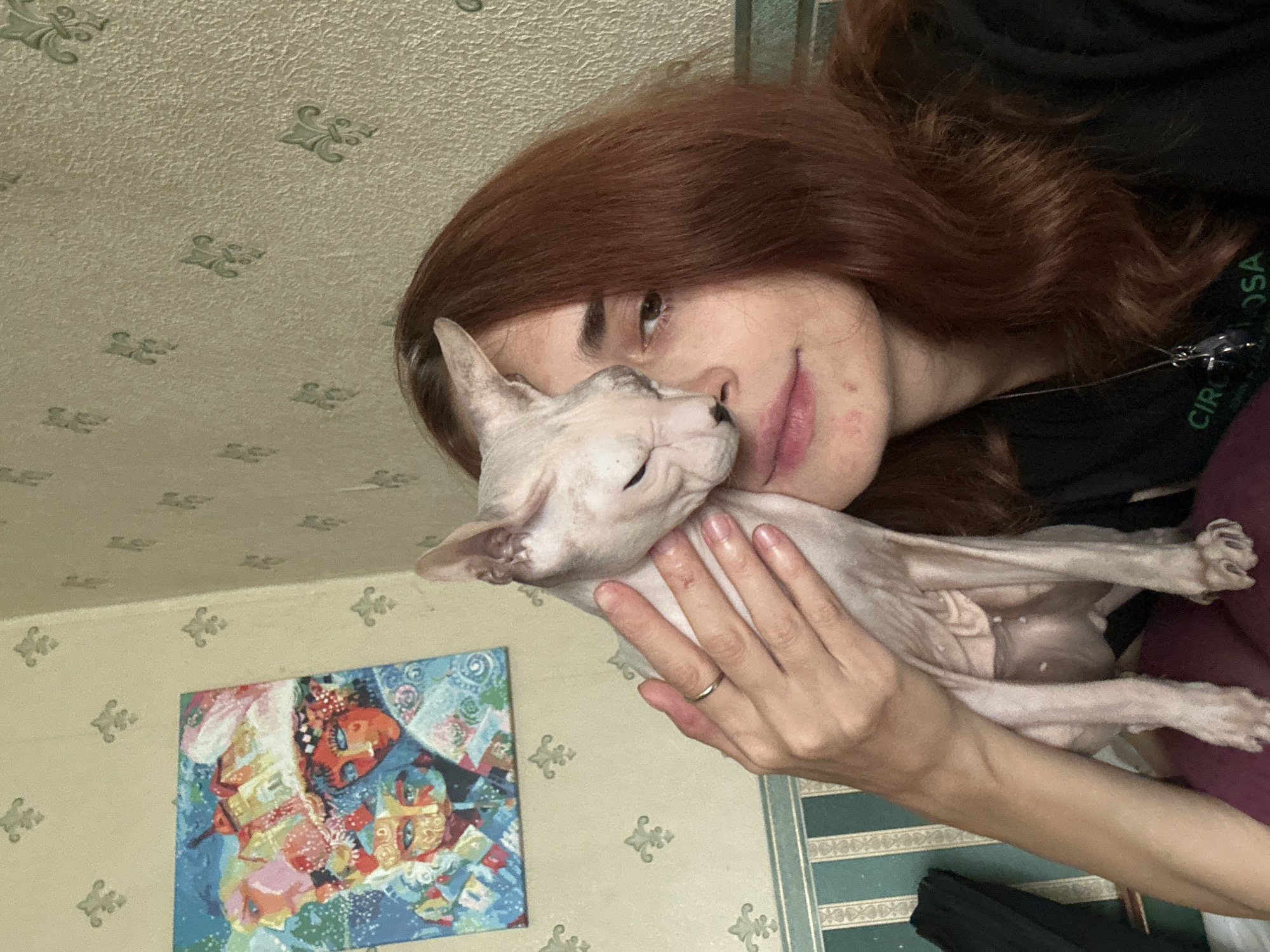 The image is a selfie taken indoors. A young woman with long, reddish-brown hair is holding a hairless cat, possibly a Sphynx, to her face. The cat is light-colored and has its eyes closed, appearing to be nuzzling the woman. The woman is wearing a dark top and a silver ring on her left hand. Behind her, the wall is covered in light-colored wallpaper with a repeating fleur-de-lis pattern. To the left, a colorful abstract painting featuring faces and buildings is hanging on the wall. The lower portion of the image shows striped green and white wallpaper. The lighting suggests an indoor environment with ambient light. There is no visible indication of the specific location within the city of Togliatti, Russia.