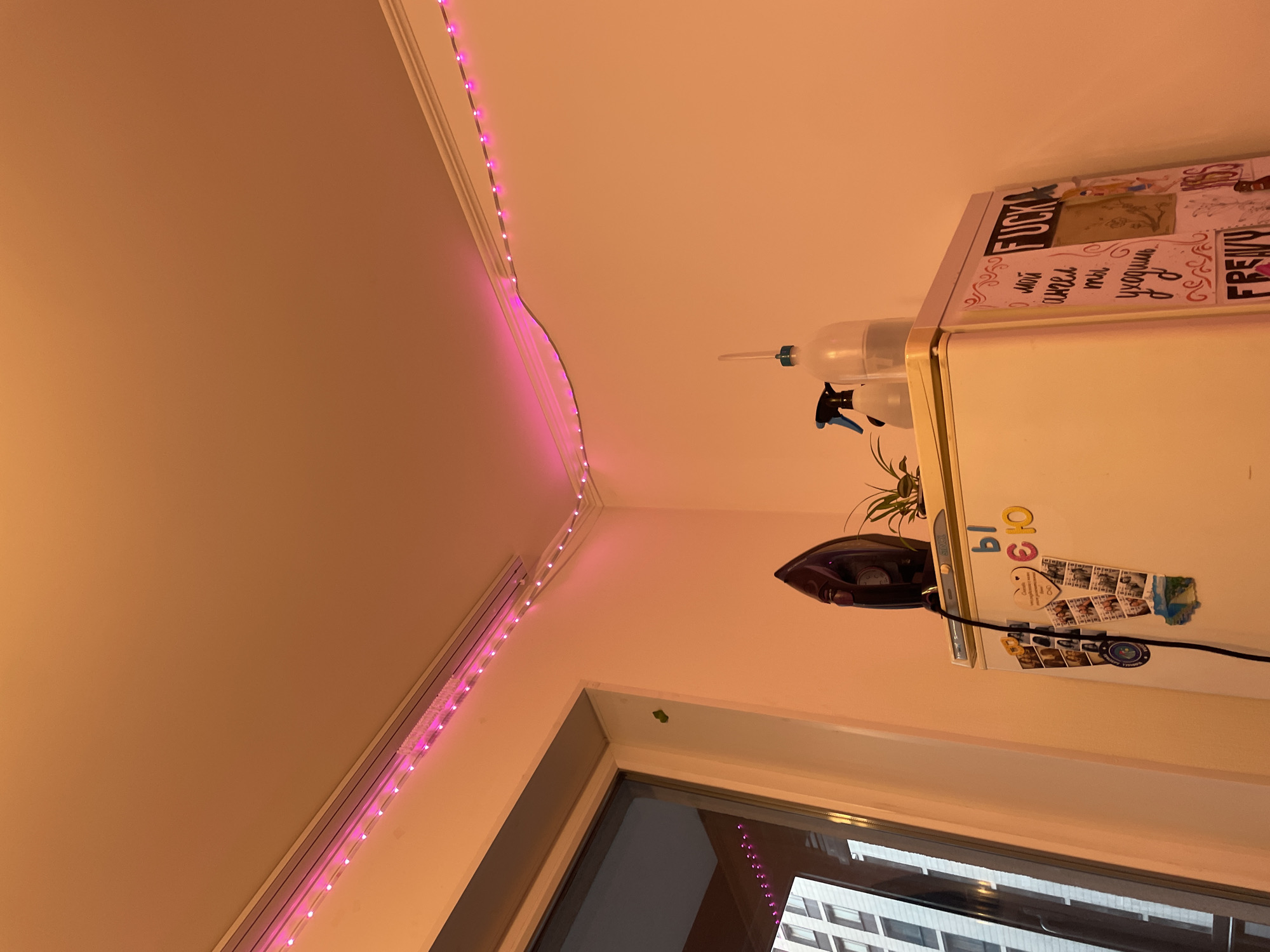An indoor shot shows a refrigerator with an iron on top, a plant, and two spray bottles. The refrigerator is decorated with magnets and stickers. One magnet displays the Cyrillic letters "Ы", "Е", and "Ю". A string of pink LED lights runs along the ceiling corner. A window to the left reveals a tall building. The scene is illuminated by a warm, orange-toned light, likely from the LED strip. The location is Ladozhskoe Ozero, Russia.