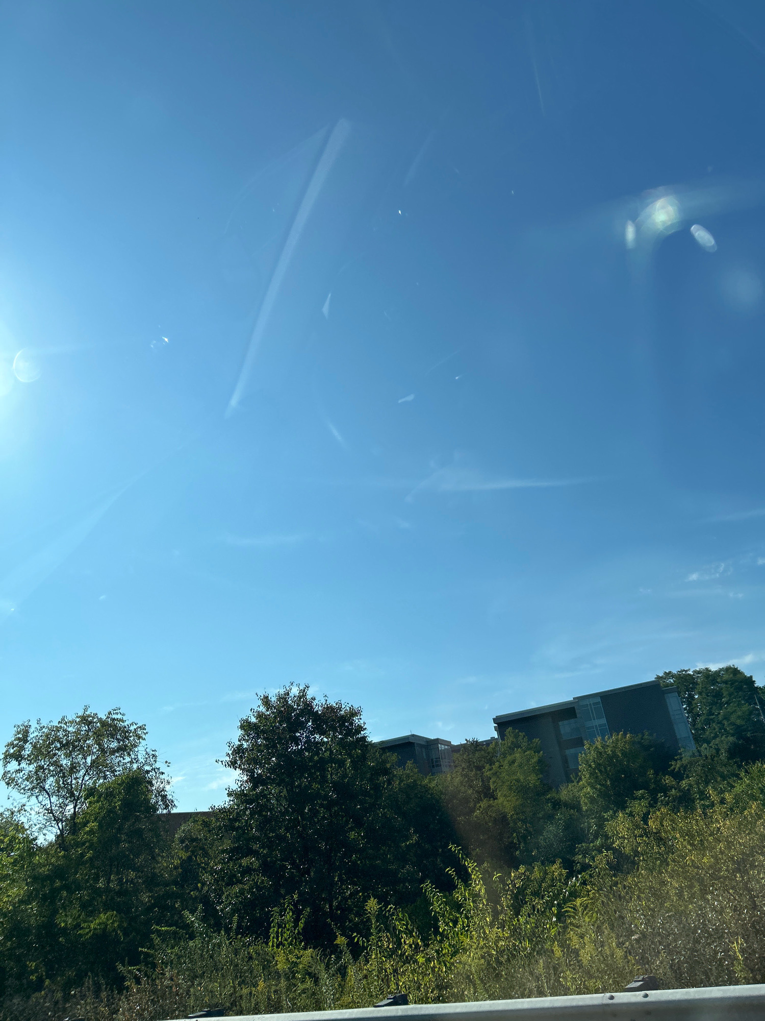 A daytime, exterior shot captured from a slightly elevated perspective shows a clear, bright blue sky with wispy clouds and visible lens flares. In the lower half of the frame, dense green foliage and trees obscure the ground. Behind the trees, several modern buildings with dark facades and glass windows are visible. These buildings are situated on a gentle slope. The image is likely taken in Collier Township, USA, given the architectural style and natural landscape.