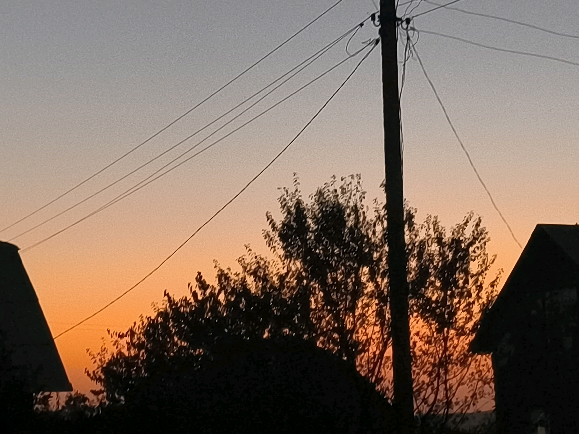 The image shows a sunset over Namdanak, Uzbekistan. The sky is a gradient of orange and grey, with thin power lines crisscrossing the frame. In the foreground, silhouetted against the sunset, are the dark shapes of trees and the roof of a building. The scene is tranquil and evokes a sense of evening calm.