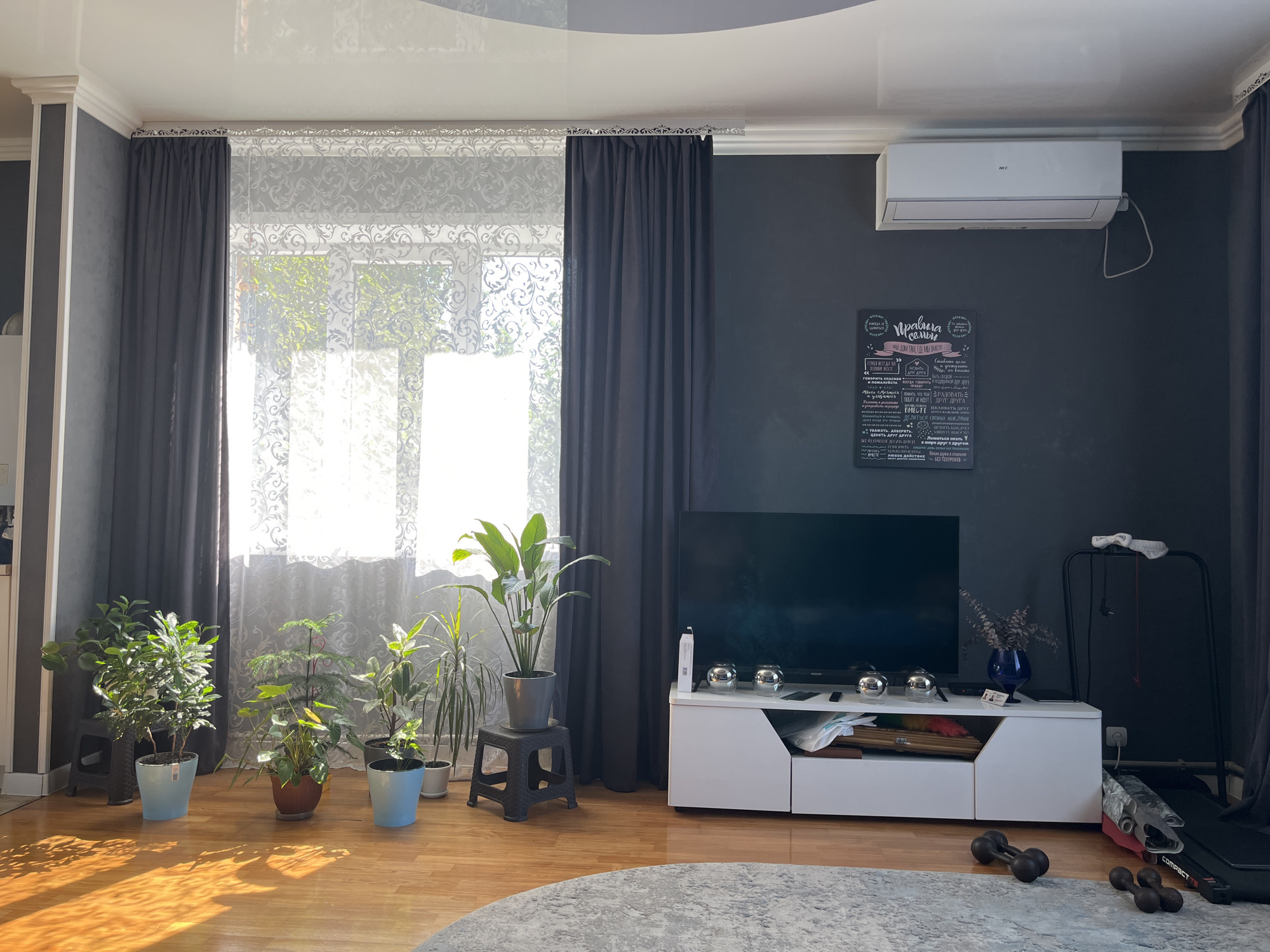 The image shows a well-lit living room with a dark grey accent wall and dark grey curtains. Sunlight streams in through a large window covered with a patterned sheer curtain, casting warm shadows on the polished wooden floor.
In the center of the room, a white media console with a modern design supports a large flat-screen television. Several decorative silver spheres are placed on top of the console, along with a small vase of dried flowers and other assorted items.
To the left of the television, several potted plants are arranged on the floor. These include a tall plant in a light blue pot, a smaller plant in a brown pot, and another plant in a light blue pot. Further to the left, another tall plant stands in a blue pot, and to its right, a tall slender plant is in a white pot. A larger plant in a grey pot is placed on a small black stool.
On the dark grey wall, above the media console, an air conditioning unit is mounted high up. To the left of the air conditioner, a black framed chalkboard with a handwritten list of "Family Rules" is displayed.
To the right of the media console, a black exercise machine, possibly a treadmill, is visible, with some exercise equipment like dumbbells placed on the floor in front of it. The room appears to be a residential interior, likely a living room or common area. The overall ambiance is tidy and modern. There are no people present in the image. The location is described as Saratov, Russia.
