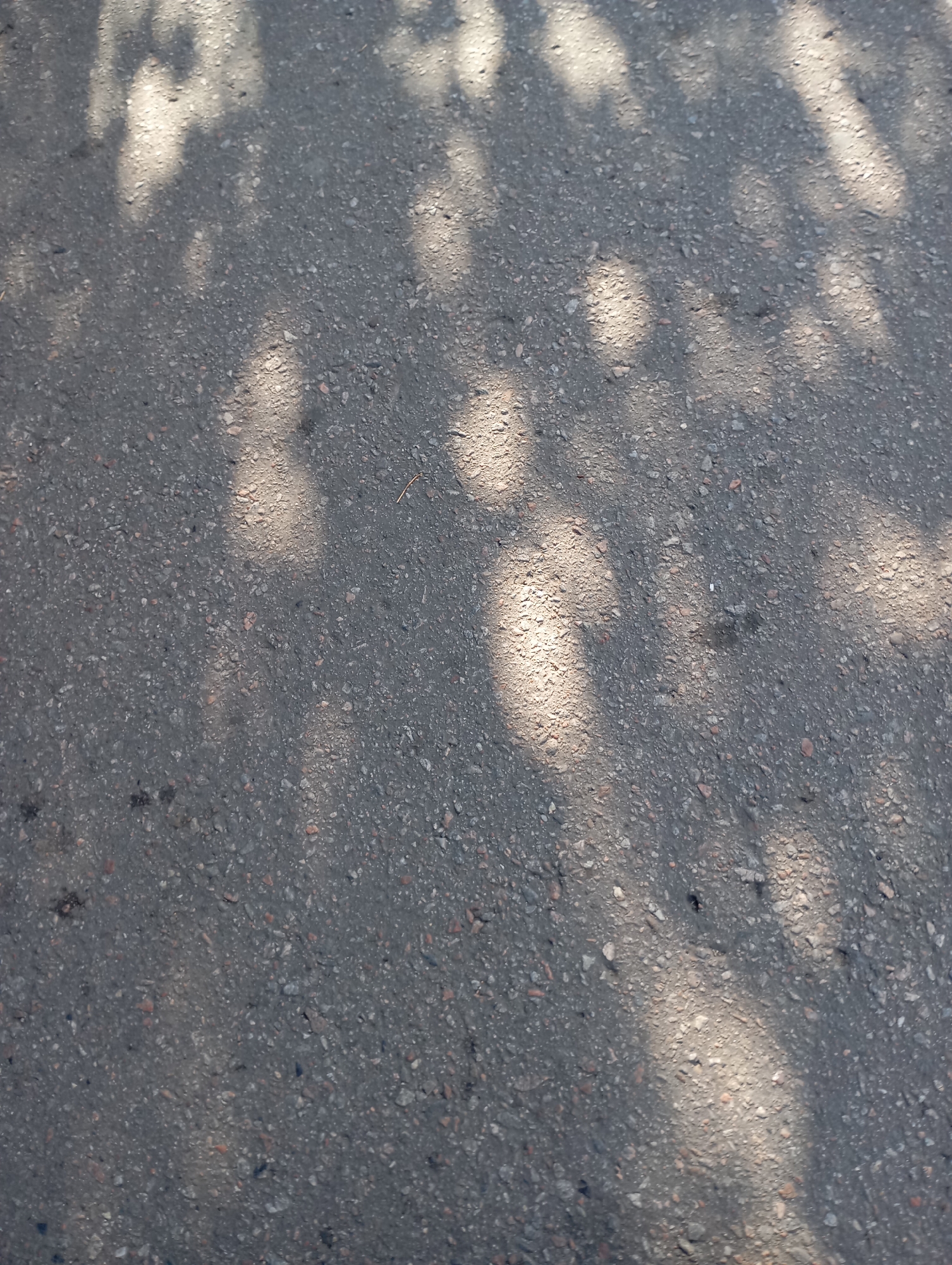 The image shows a close-up, overhead view of an asphalt surface. The asphalt is dark gray and speckled with small, varied colored pebbles, typical of road construction. Sunlight filters through a canopy of leaves above, casting dappled shadows across the ground. The shadows create irregular shapes and patterns of light and dark. No people or specific objects are identifiable in the scene, only the textured surface of the asphalt and the effect of light and shadow. The location is a public area in the city of Horishni Plavni, Ukraine, likely a sidewalk or roadway under trees.