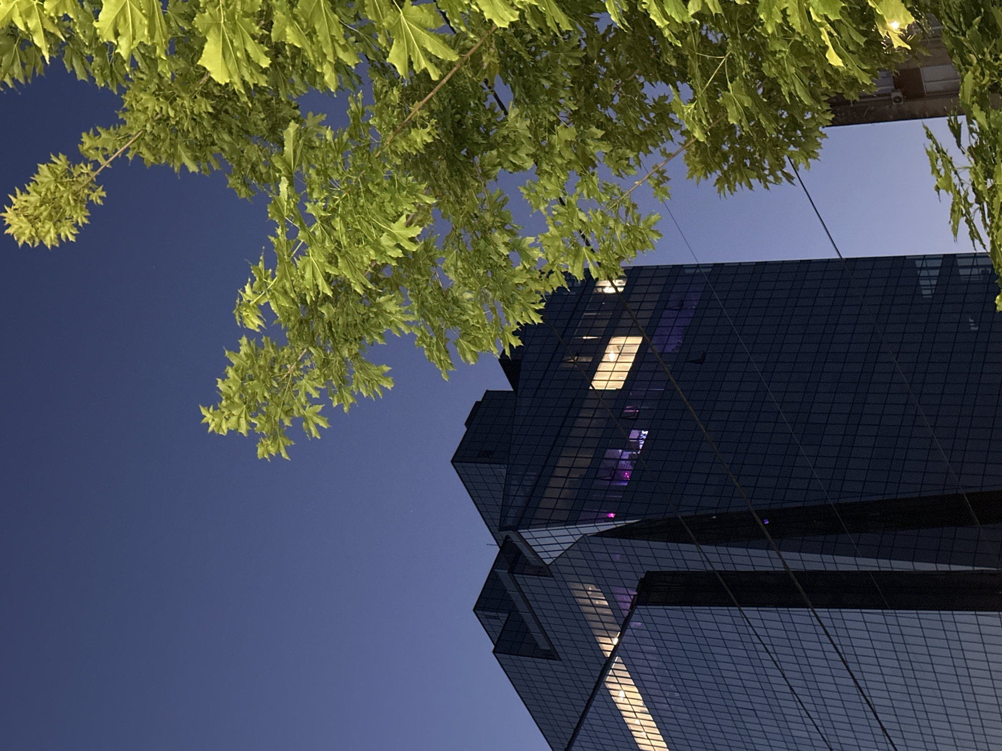 The image, taken at night in Chișinău, Moldova, showcases a modern glass-facade building viewed from a low angle, revealing a portion of its architecture against a deep blue sky. The building features sharp angles and reflective surfaces, with visible interior lights in some windows. Overhead, green tree foliage partially obscures the view, framing the building against the night sky. The building's reflective surface captures the ambient light and surrounding environment.
