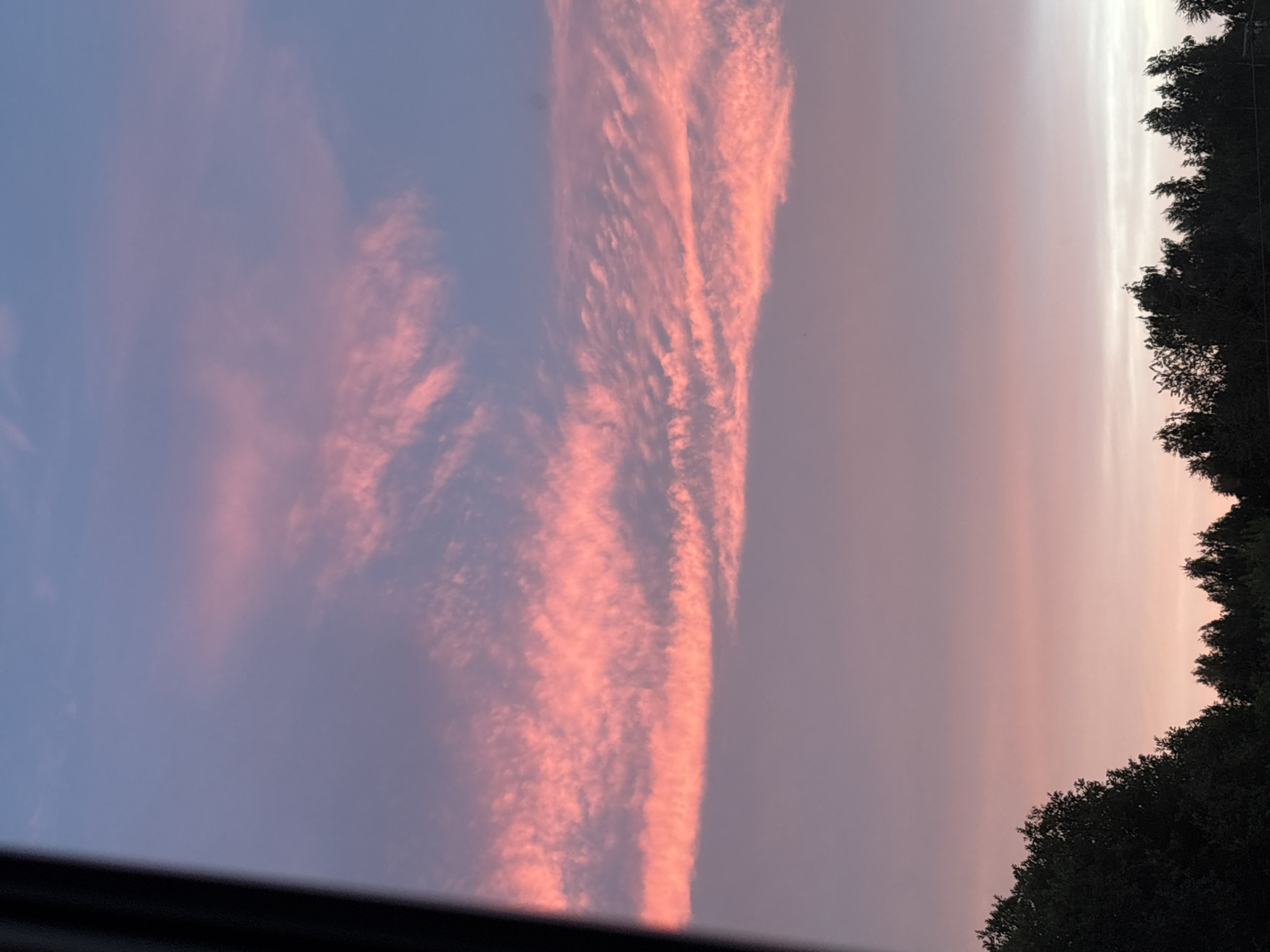 The image captures a sunset sky over Pavlovo, Russia. The sky displays a gradient of colors, with hues of deep blue at the top transitioning to shades of pink and purple towards the horizon. Wispy pink clouds are scattered across the sky, illuminated by the setting sun. Silhouetted against the vibrant sky is a line of dark green trees, forming the lower edge of the scene. The overall impression is one of a tranquil evening landscape.