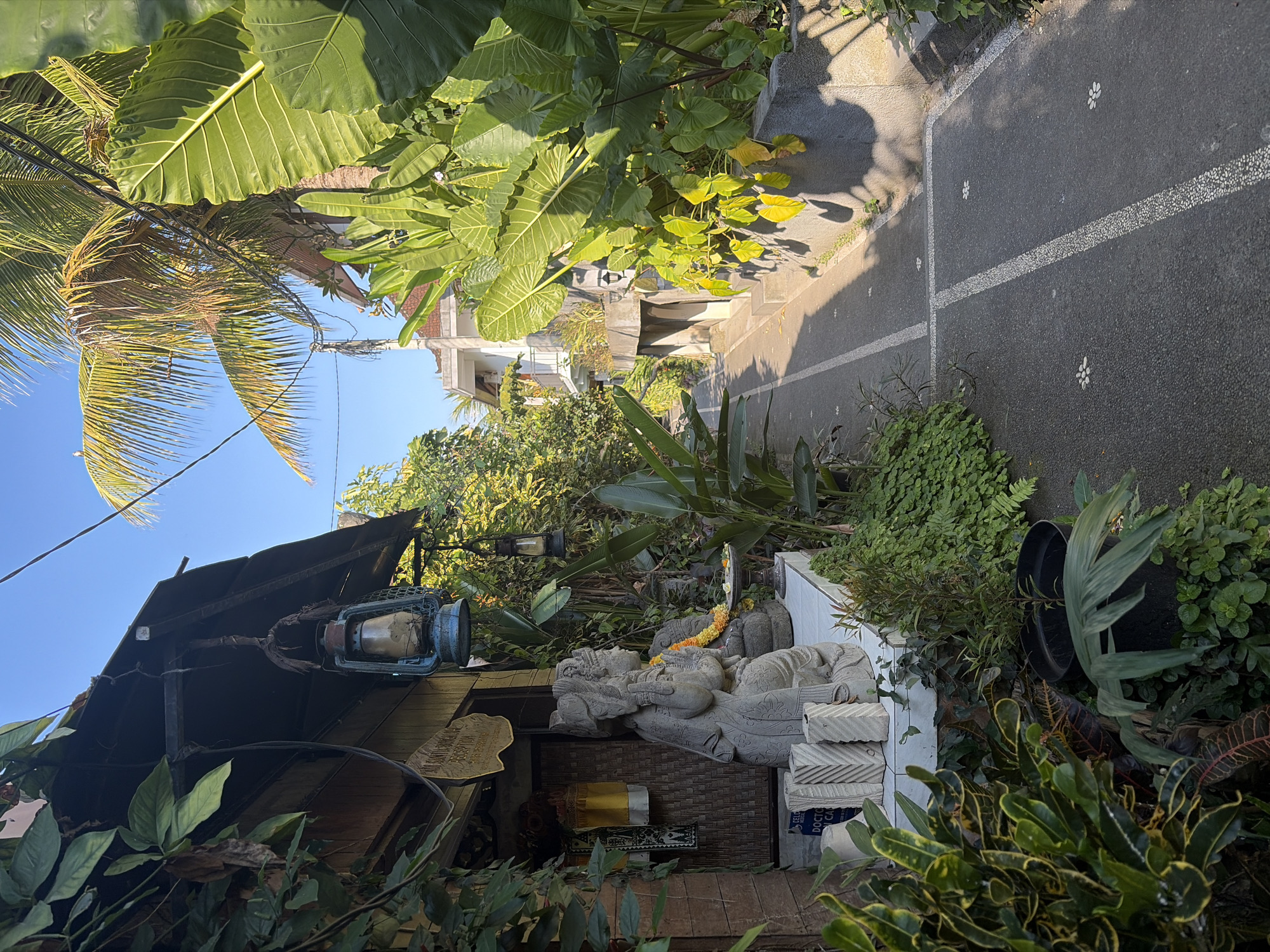 The image depicts a narrow, paved walkway bordered by lush greenery and buildings in the city of Ubud District, Indonesia. On the left, a rustic structure with a dark roof is adorned with hanging lanterns and foliage. A stone statue, possibly of a deity, is placed on a white platform in front of the building, decorated with a yellow garland. The walkway itself is paved with dark asphalt and accented with white lines and small stone flower patterns. To the right of the walkway, large tropical plants with broad leaves dominate the scene, casting shadows on the path. In the background, a modern building with white walls and a red-tiled roof is visible, suggesting a blend of traditional and contemporary architecture. The sky is clear and blue, indicating a bright, sunny day. The overall impression is one of a serene and verdant pathway in a tropical urban setting.