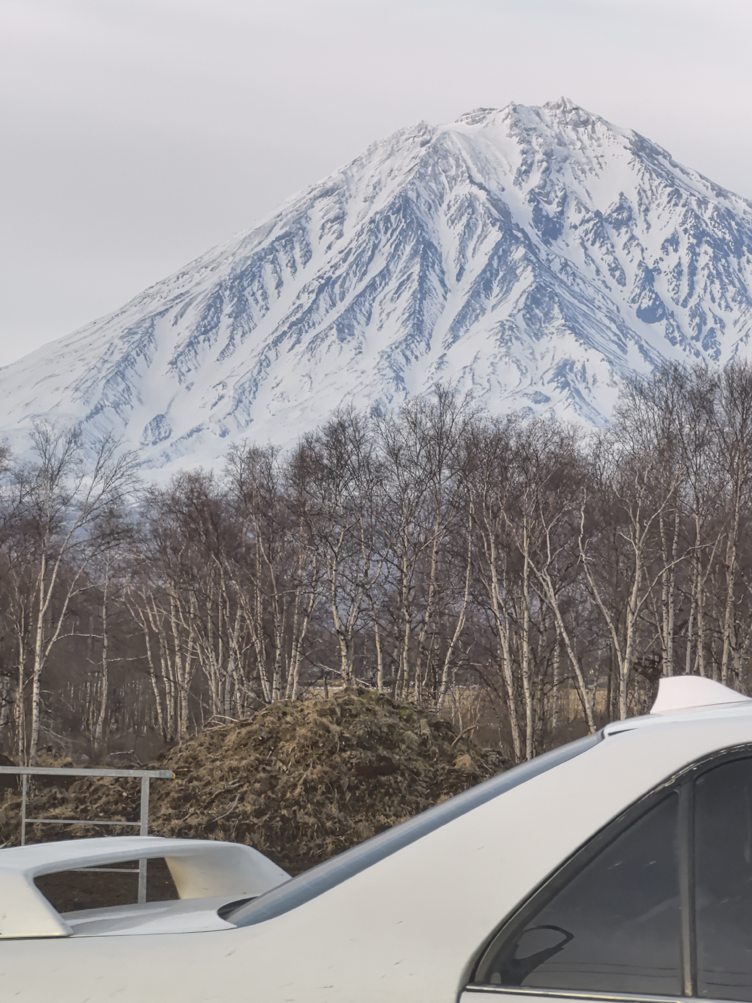 The image shows a snow-covered mountain behind a row of bare trees and part of a white car. The mountain dominates the background, its slopes deeply etched with crevices and covered in snow. The sky above is overcast and gray. In the mid-ground, a stand of trees with bare branches extends horizontally. In the foreground, part of a white car is visible, including its roof and side window. A second white car is slightly visible behind the first car.