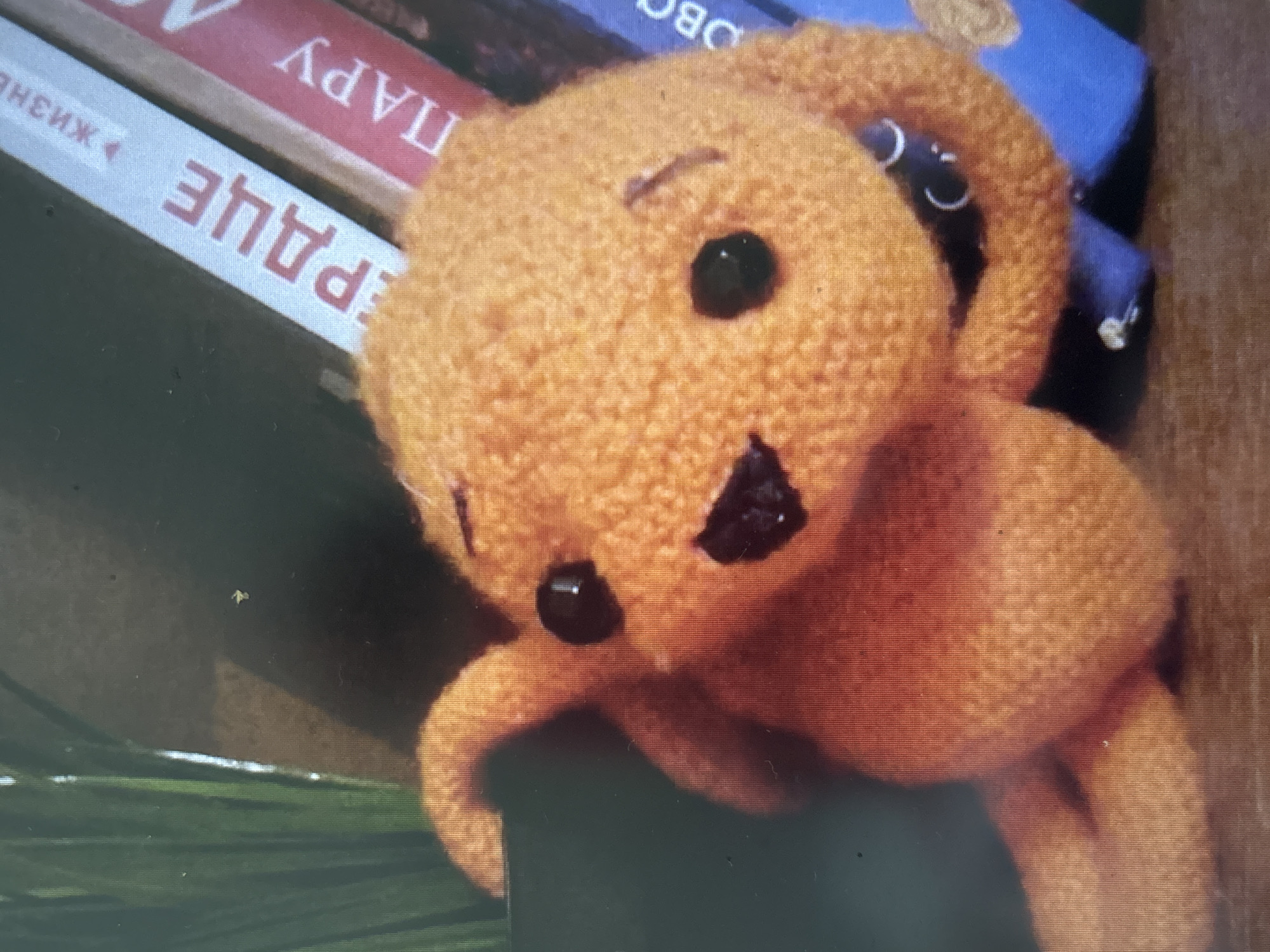 The image shows a close-up of a small, orange, knitted stuffed animal with black button eyes and a black stitched mouth. The stuffed animal appears to be resting on a wooden surface. In the background, several books are visible, with their spines facing outward. One book has the Cyrillic letters "ЕРДЦЕ" and another has "ПАРУ". The environment appears to be indoors, possibly a bookshelf. There is no indication of the city of Novosibirsk, Russia, or any specific location within it.