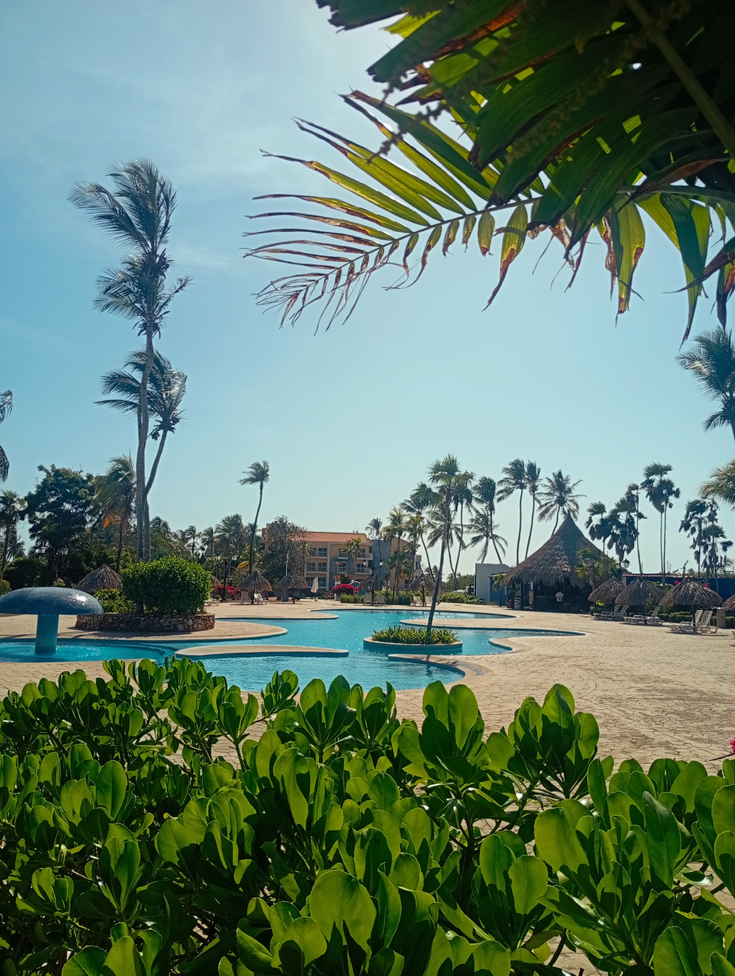 The image depicts an outdoor swimming pool area with tropical vegetation, possibly located in Playa El Agua, Venezuela. A multi-level pool with clear blue water is surrounded by a light beige stone or concrete patio. Several thatched-roof structures, likely serving as bars or shelters, are scattered around the pool. Numerous palm trees are visible in the background, some swaying in the wind. Lush green bushes occupy the foreground, partially obscuring the view. The sky is clear and blue. A building is faintly visible in the mid-ground beyond the palm trees. No people are clearly identifiable in the image.