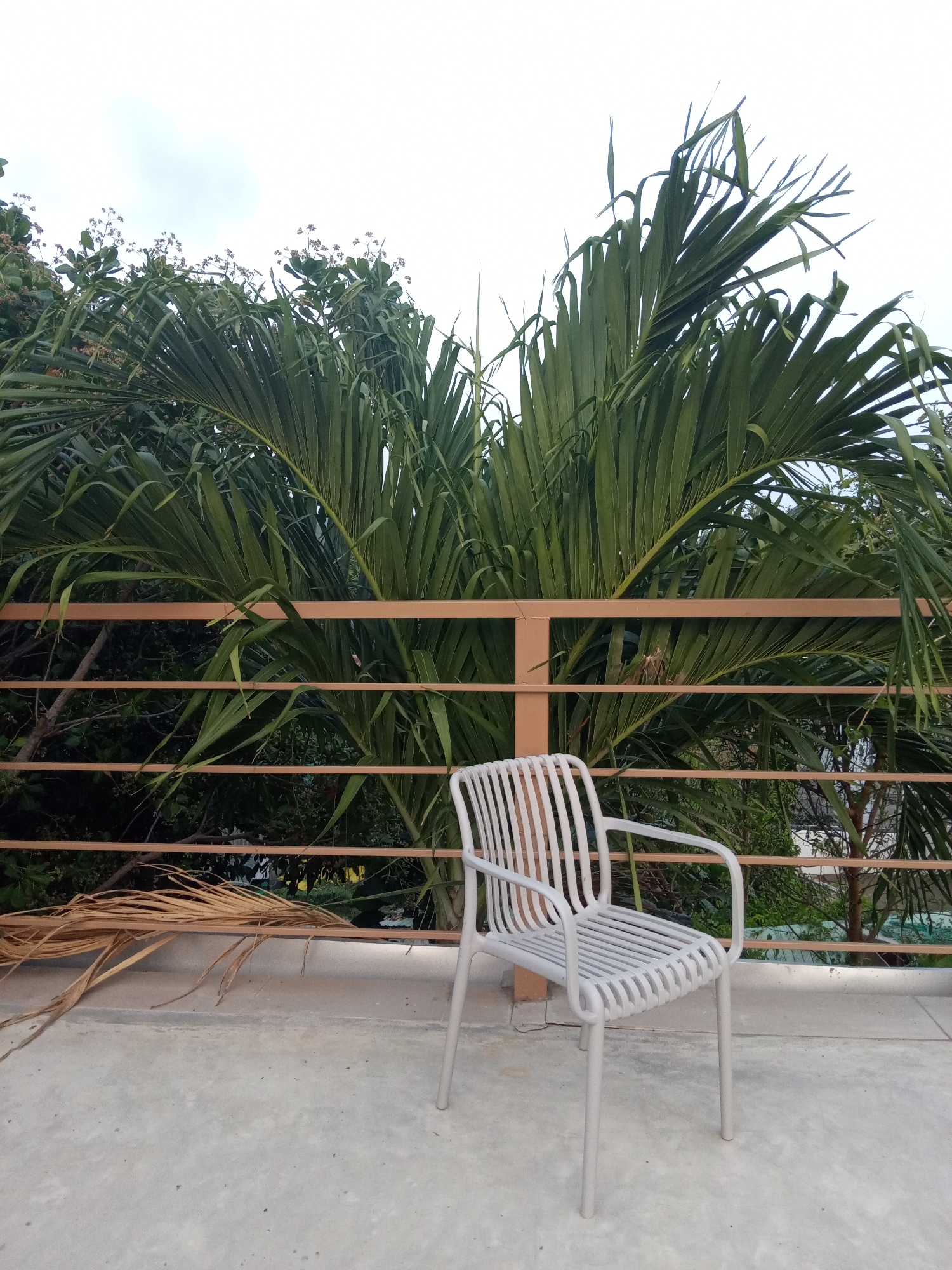 A grey, slatted chair sits on a concrete surface in an outdoor setting. Behind the chair is a metal railing and lush greenery, including palm trees. Some dead palm fronds lie on the concrete near the railing. The location appears to be Bac Natural Heritage Area Trang, Vietnam, as indicated in the instructions. The sky is overcast.