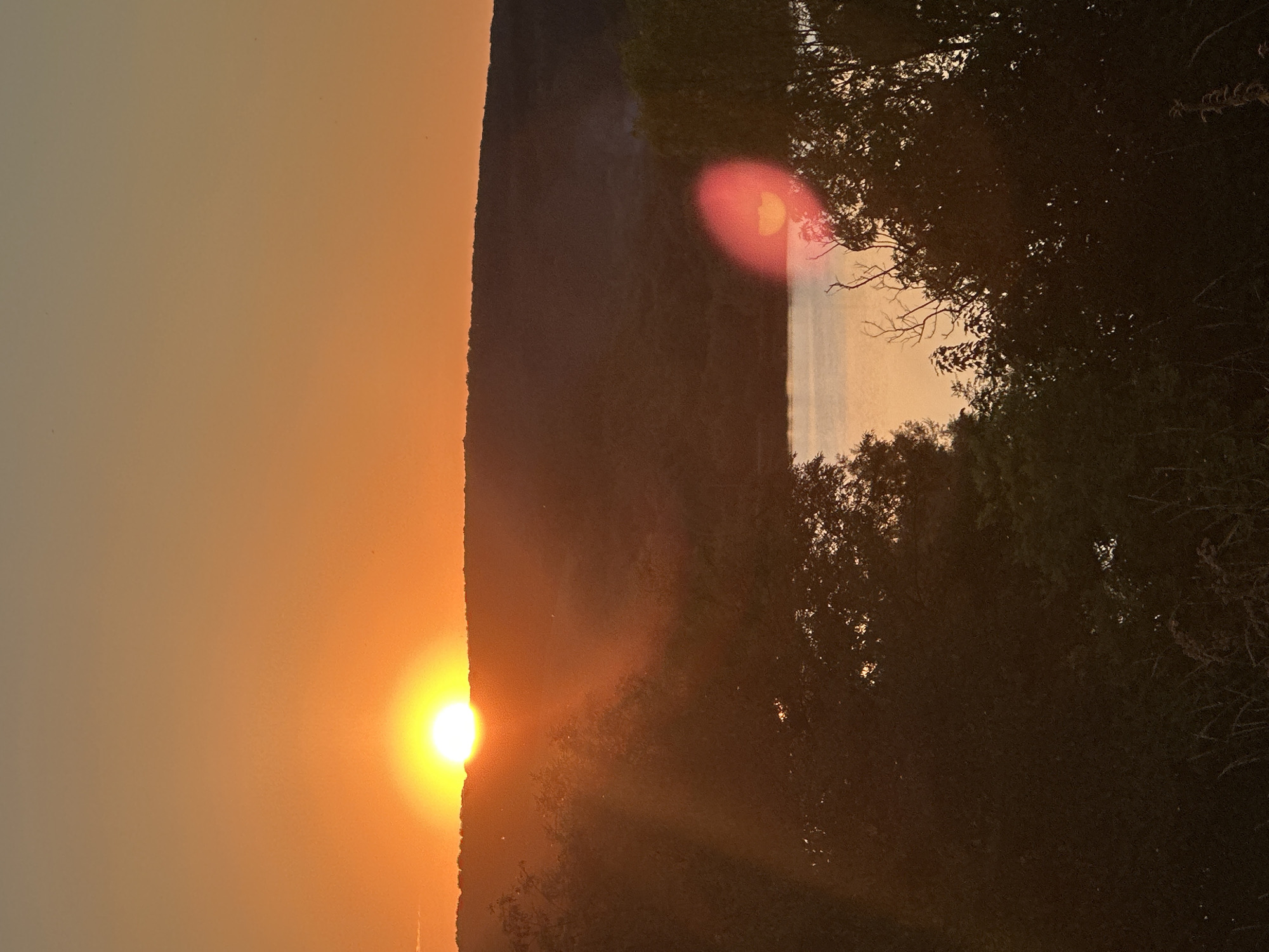 This is a vertical, eye-level photograph taken outdoors at sunset. The scene depicts a natural landscape with a body of water, rolling hills, and trees in the foreground. The sun, a bright, round orb, is setting just above the horizon, casting a warm orange and yellow glow across the sky. The sky transitions from a pale orange near the horizon to a softer peach color higher up.
In the middle ground, a body of water, possibly a lake or wide river, reflects the colors of the sunset. The surface of the water is relatively calm, with gentle ripples visible. Behind the water, rolling hills covered in dark green foliage rise up. The hills are silhouetted against the bright sky.
The foreground is dominated by the dark silhouettes of trees and foliage. These trees are dense and leafy, with some bare branches visible. The leaves and branches are rendered in dark tones, with the sunset light filtering through them in places, creating a dappled effect. There are also some dried grasses and thin stalks of plants visible at the very bottom of the frame. A notable optical phenomenon is present in the image: a red, oval-shaped lens flare appears in the sky above the water on the right side of the frame, partially obscuring the view of the trees in that area. Another lens flare, a streak of light, emanates from the sun towards the left.
The image is a landscape photograph with no visible people or man-made structures. The overall mood is serene and peaceful, capturing the beauty of a natural sunset. The location is identified as the city of Makiv, Ukraine.