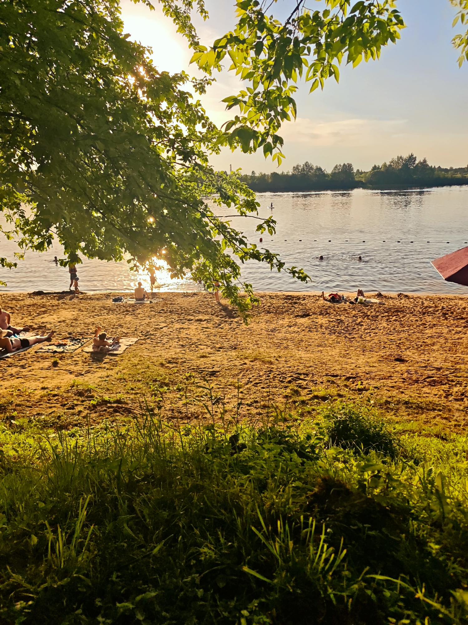 This image captures a late afternoon or early evening scene at a sandy beach in Dubna, Russia. The upper-left quadrant is dominated by a bright, partially obscured sun, which is shining through dense green deciduous tree foliage, causing significant lens flare and illuminating the scene with warm, golden light.
The immediate foreground displays dark green grass and low vegetation, which transitions into a broad expanse of golden-brown sand covering the central and lower portions of the image. Several individuals are present on the beach: two are lying on light-colored towels in the lower-left, one is prone on a towel in the mid-left, and another is seated closer to the water's edge, facing the water. A red beach umbrella is partially visible on the far right edge of the frame.
The sandy beach borders a calm body of water, which reflects the warm sunlight and the pale blue sky. A line of black buoys extends across the mid-distance of the water, designating a swimming area. Within this area, two individuals are swimming, their heads visible above the water. Closer to the shore, several people are wading or standing in the shallow water, some appearing as silhouettes against the sun's reflection. On the far left of the water, a solitary figure is visible standing on a paddleboard.
The background consists of a distant, dense tree line on the opposite bank of the water body. The sky above is a pale blue with faint, wispy clouds, blending into a lighter, warmer tone near the horizon. Green tree branches and leaves frame the top and left edges of the overall composition.