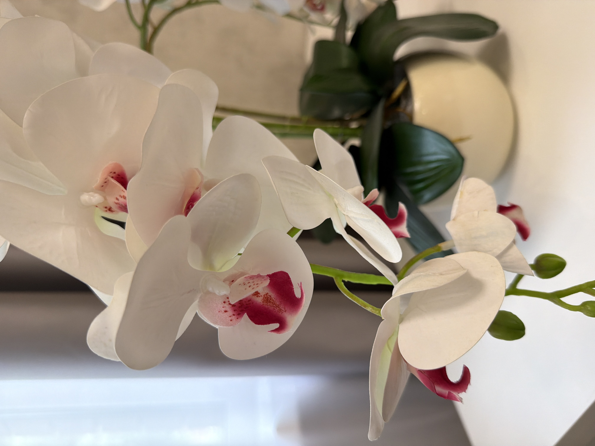 A close-up, vertical shot showcases a bouquet of white orchids with pink centers, elegantly arranged in a cream-colored ceramic pot. The orchids are on a white surface, likely a table or shelf, with a blurred background of a gray curtain and a window. The lighting is soft, highlighting the delicate texture and subtle color variations of the petals. The scene appears to be indoors, possibly in a home or office setting. No people are visible in the frame.