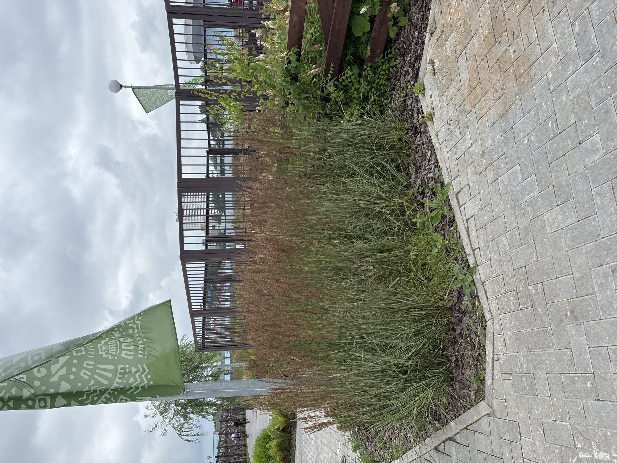 A paved walkway with grey rectangular pavers in a herringbone pattern curves around a bed of tall ornamental grasses and green foliage. A dark brown metal fence with vertical bars encloses the area. Two green flags with white geometric patterns are visible, one on a pole to the left and another further back. In the background, a building with a rounded roof and a distant tall building are present under a cloudy sky. The scene appears to be an outdoor public space, potentially a park or waterfront area. The location is identified as being in the city of Perm, Russia.