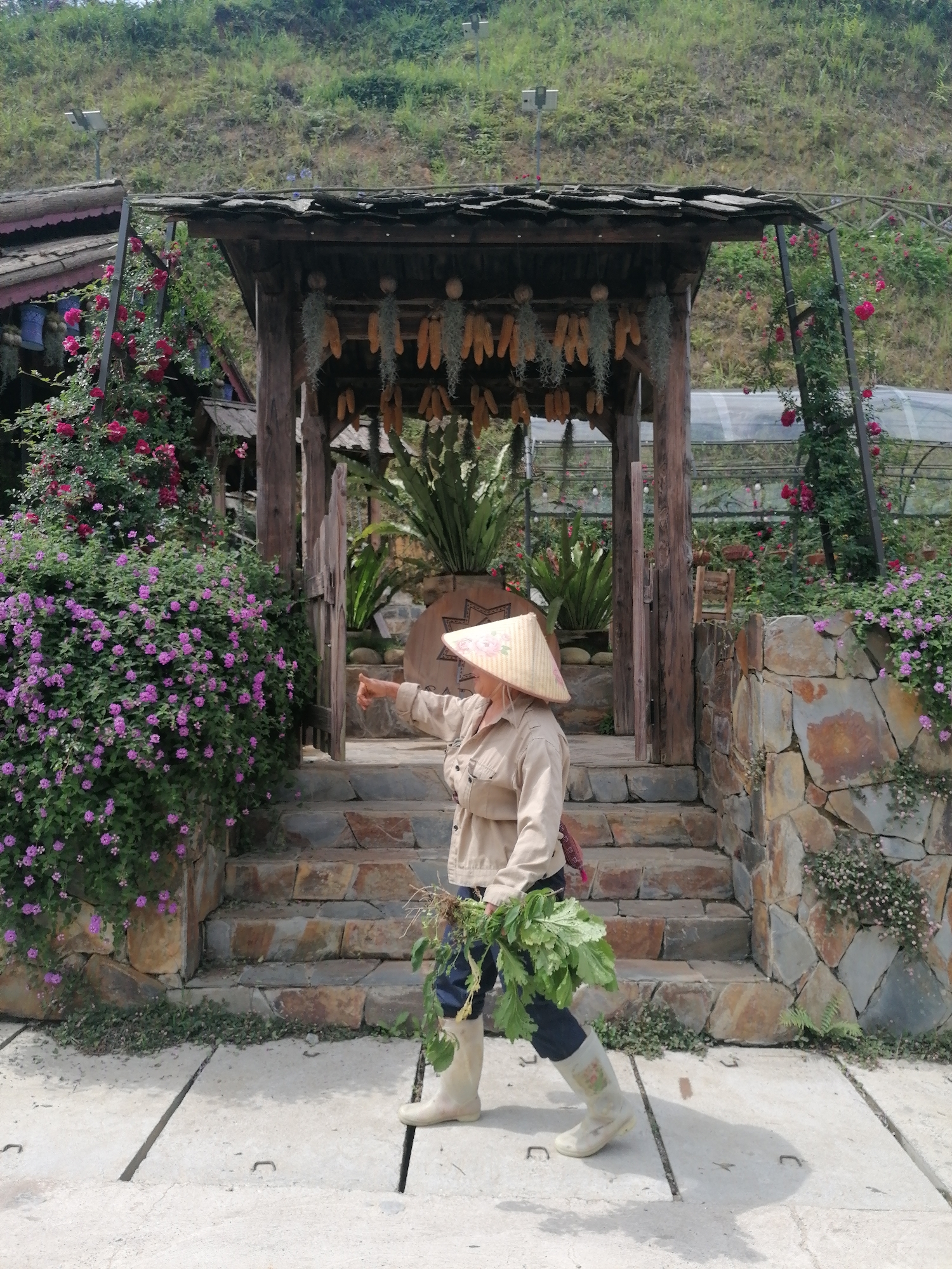 A person wearing a conical hat, a beige jacket, dark pants, and light-colored boots stands on a concrete path holding a bundle of green leafy plants. They are positioned in front of a stone staircase leading to a wooden gate-like structure adorned with hanging corn cobs. To the left, a bush of purple flowers thrives, while to the right, a stone wall is partially covered in greenery. Red roses climb up trellises flanking the gate. The background reveals a lush, green hillside. This scene is likely in Sa Pa Ward, Vietnam.