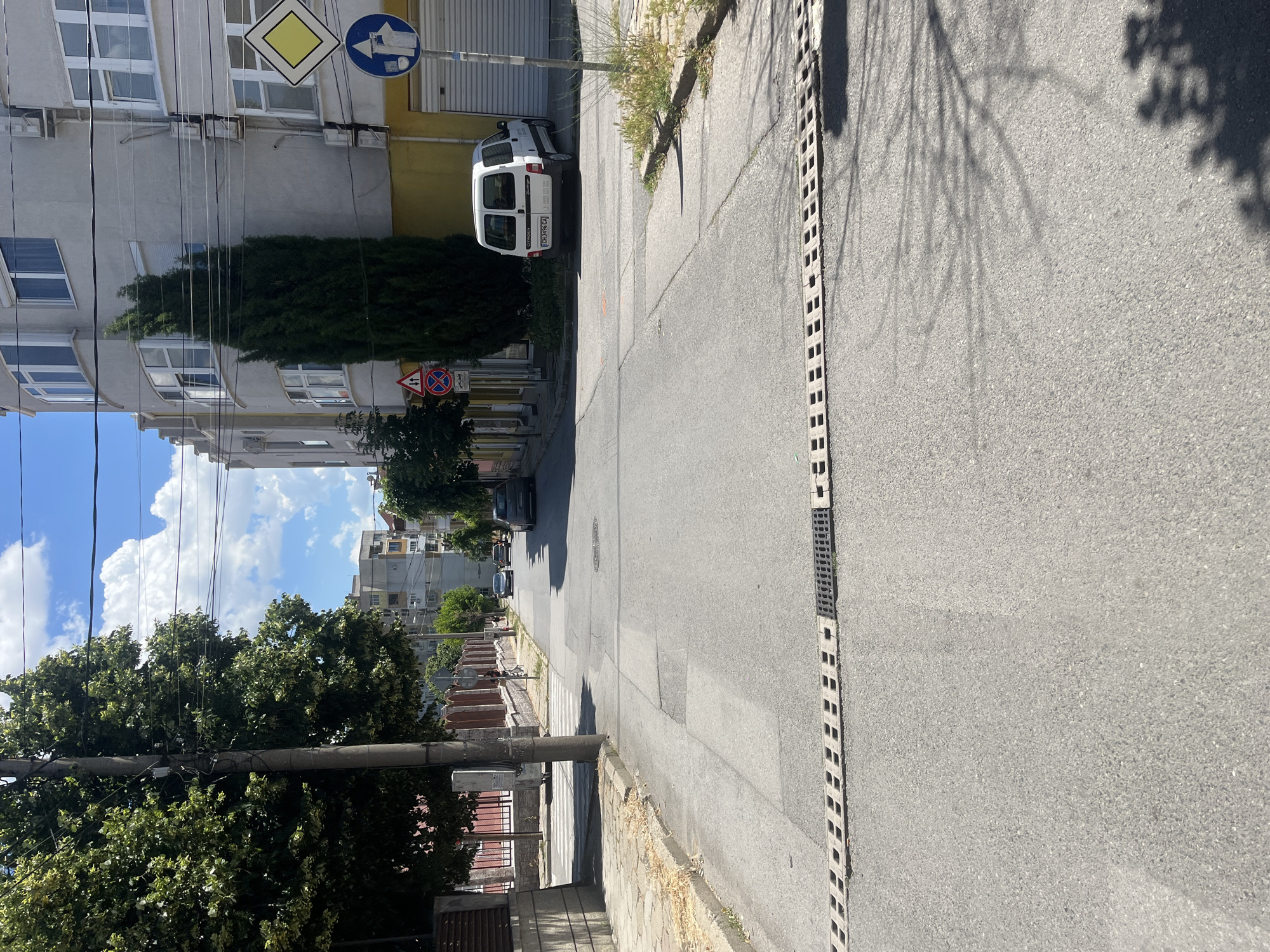 The image depicts a street in Sliven, Bulgaria, on a sunny day. The street is paved with asphalt and has a raised speed bump with a grate in the middle. On the left side of the street, there is a sidewalk with some dry grass and a metal fence. Trees line the sidewalk. On the right side, there are buildings with balconies and windows, one of which is painted yellow at the bottom. A white van with the license plate CH3496CA is parked in front of one of the buildings. Traffic signs are visible, including a yellow diamond-shaped sign and a blue circular sign with a white arrow. In the distance, several cars are driving on the street, and more buildings are visible. The sky is blue with some white clouds.