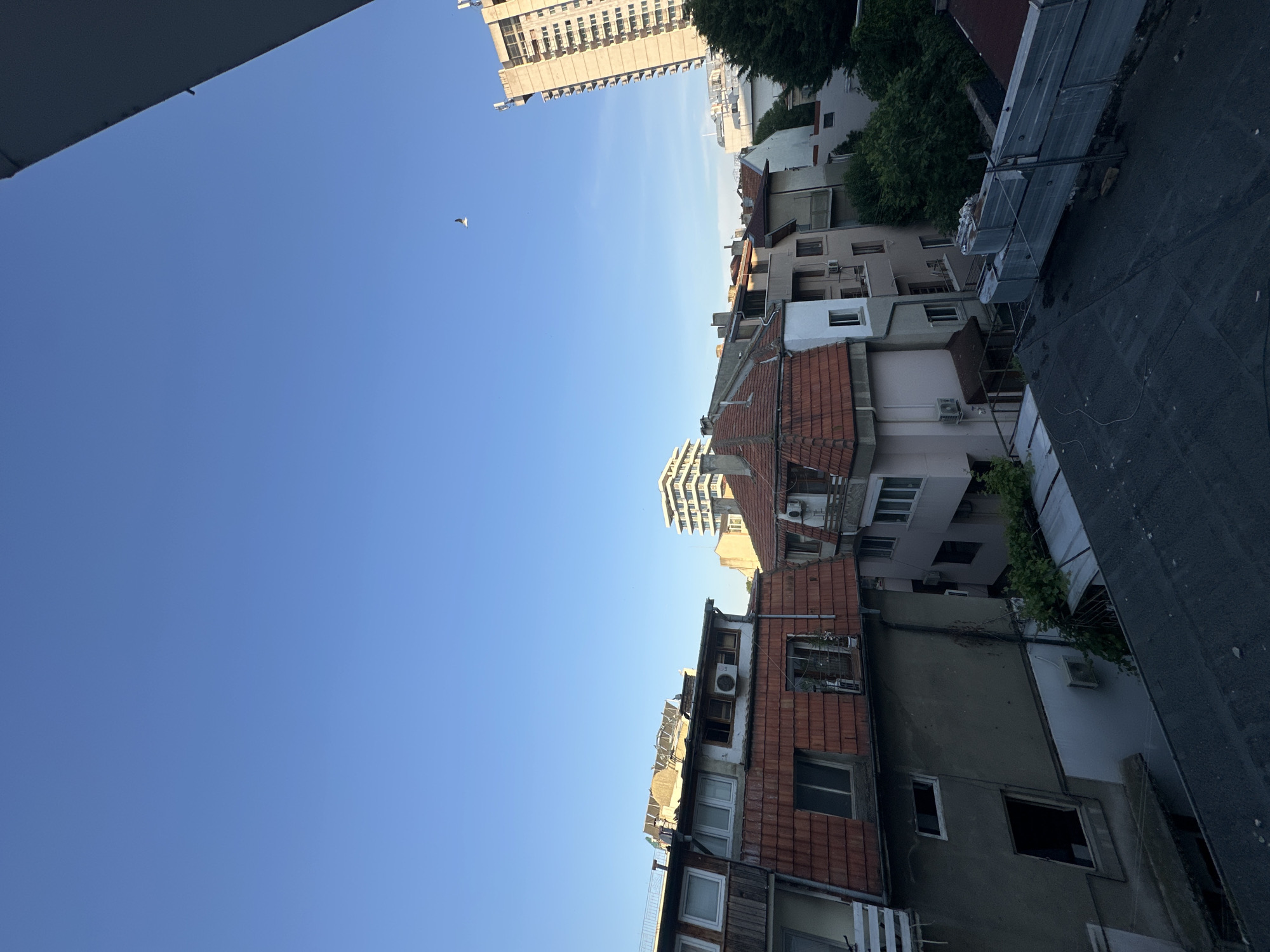 This is an image taken from a high vantage point, likely a rooftop or balcony, overlooking a city scene. The sky is a clear, bright blue, suggesting it is daytime. In the distance, a tall, modern apartment building is visible, its facade a light color with numerous windows. Below this, a cluster of older residential buildings with red tiled roofs dominate the midground. These buildings appear to be of varying heights and architectural styles, with some showing signs of age. A bird is captured mid-flight against the blue sky. The foreground shows the dark, sloped roof of another building. The overall impression is of an urban environment, likely in Varna, Bulgaria, with a mix of older and newer construction.