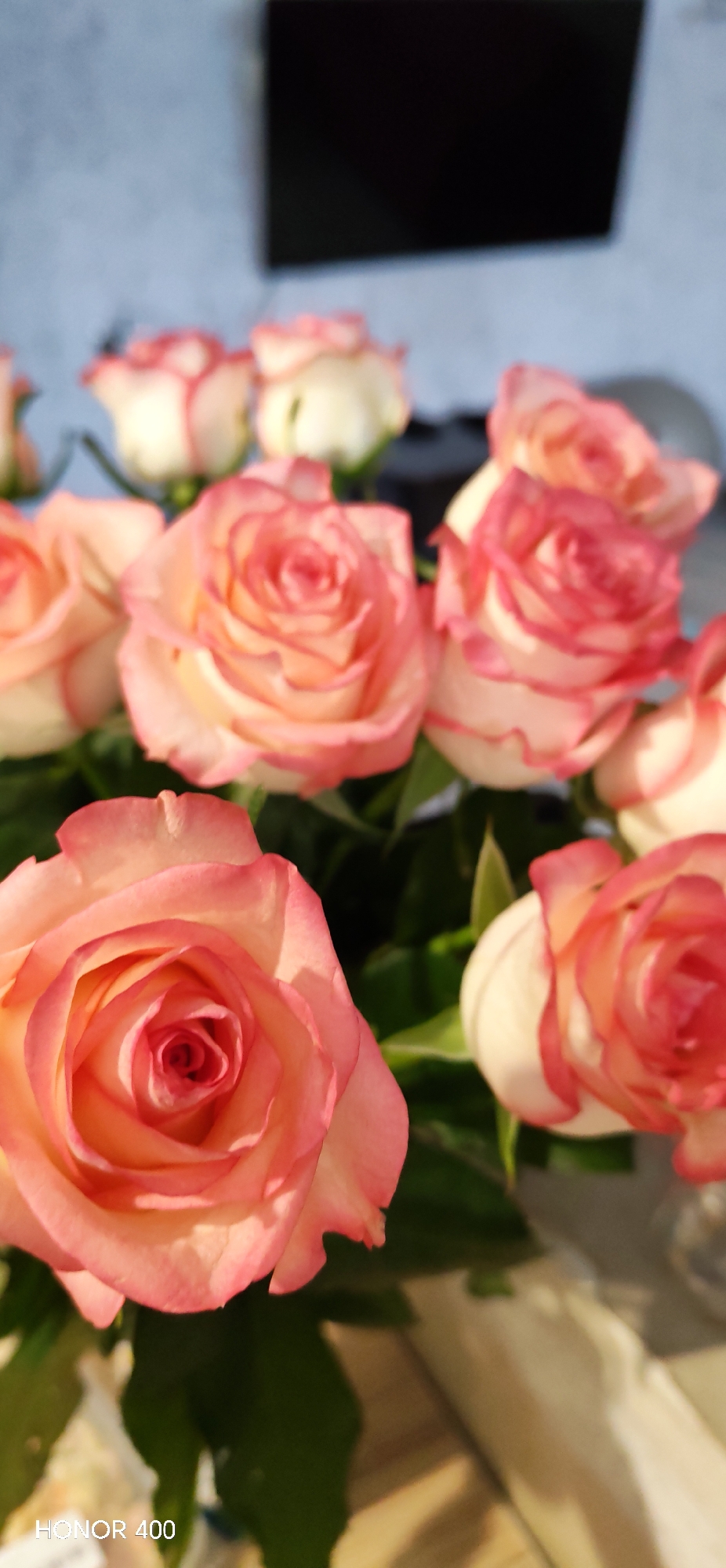 The image displays a close-up, vertical shot of a bouquet of roses. The roses are predominantly white with pink edges on their petals, and they are arranged in a dense cluster. The background is out of focus, showing a light blue, textured surface with a dark rectangular object above it, possibly a monitor or a framed picture. Green leaves are visible interspersed among the flowers. The lighting suggests it is daytime. The bottom left corner of the image contains the text "HONOR 400" in white lettering. The scene appears to be indoors, with no discernible specific location within Noviy, Russia, or any other city. There are no people or actions depicted.