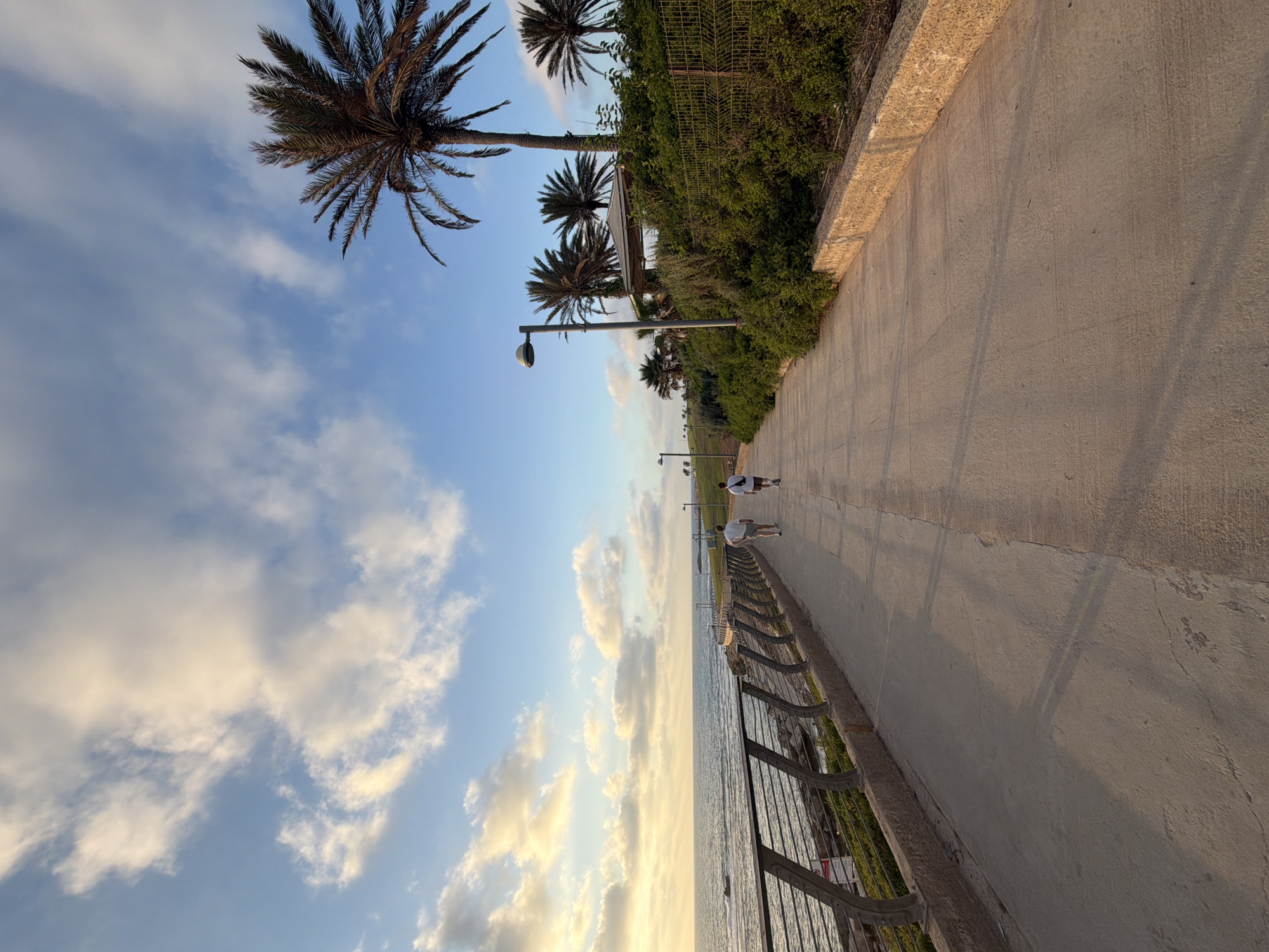 The image depicts a seaside promenade in Tel Aviv, Israel, during what appears to be late afternoon or early evening, judging by the warm, golden light casting long shadows. The sky is a vibrant blue, dotted with scattered white and golden clouds, indicating fair weather.
The scene is dominated by a wide, concrete pathway running parallel to the sea. On one side of the pathway, a lush green hedge and several tall palm trees create a tropical ambiance. A metal railing separates the promenade from the water's edge. The sea itself is calm, with gentle waves lapping against the shore.
Two individuals are visible on the promenade. One person, wearing a white t-shirt and shorts, is walking away from the viewer. Another person, also in casual attire, is walking ahead, seemingly engaged in a leisurely stroll or exercise. The presence of streetlights along the promenade suggests it's a well-maintained public space, likely used for recreation.
The overall mood is tranquil and serene, capturing a peaceful moment at the end of the day by the Mediterranean Sea. The combination of the natural elements – the sea, sky, and palm trees – with the man-made promenade and the presence of people enjoying the space creates a quintessential Tel Aviv seaside experience. No visible text is present in the image.
