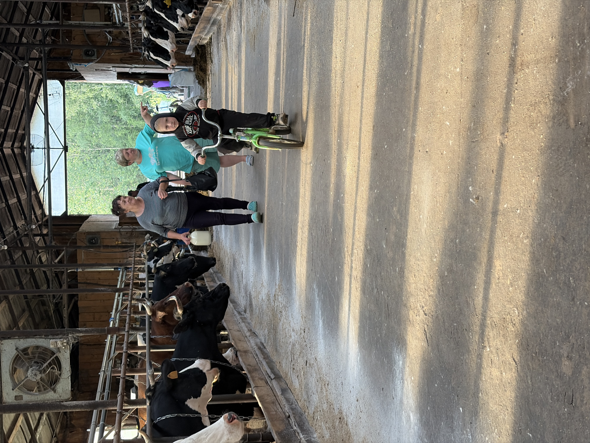 The image depicts a scene inside a barn or stable, likely a dairy farm, in Chumna, Russia. Three people – two adult women and a young boy – are present, walking along a concrete aisle. The young boy is riding a small, bright green bicycle. He wears a black and grey hoodie with the text "ORIGINAL APPAREL WE..." visible on it.
One woman, wearing a teal t-shirt with "BELIEVE" printed on it, walks beside the boy. The other woman, dressed in a striped top and dark pants, is positioned closer to a row of cows. She holds a white bottle or container, possibly for feeding or tending to the animals.
Along the left side of the aisle, numerous cows, predominantly black and white, are visible in their individual stalls, looking towards the people. The barn structure features wooden beams and metal barriers for the stalls. A large, circular industrial fan is mounted on the wall in the foreground, suggesting ventilation.
Natural light floods the aisle, casting long, distinct shadows across the concrete floor. This indicates that the sun is low in the sky, suggesting either early morning or late afternoon. Through a large opening at the far end of the barn, bright green trees and foliage are visible, indicating an outdoor area beyond. The scene conveys a calm, everyday activity on a farm.