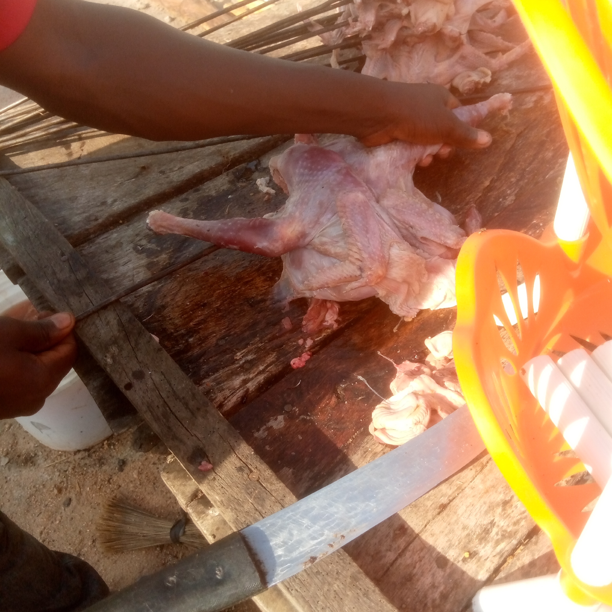 A person's hands are shown in a close-up shot, actively preparing a raw chicken on a wooden surface. The chicken is partially dismembered, with its legs and wings separated. The scene appears to be outdoors, as suggested by the sandy ground and the presence of a broom in the lower left corner. A bright orange plastic basket, filled with what appear to be white sticks or rods, is positioned on the right side of the frame, catching the sunlight. A large, metallic knife lies horizontally across the foreground, its blade reflecting light. The lighting suggests it is daytime, possibly late afternoon due to the warm tones and shadows. The overall impression is one of food preparation, likely in a rustic or informal setting. There is no visible text in the image.