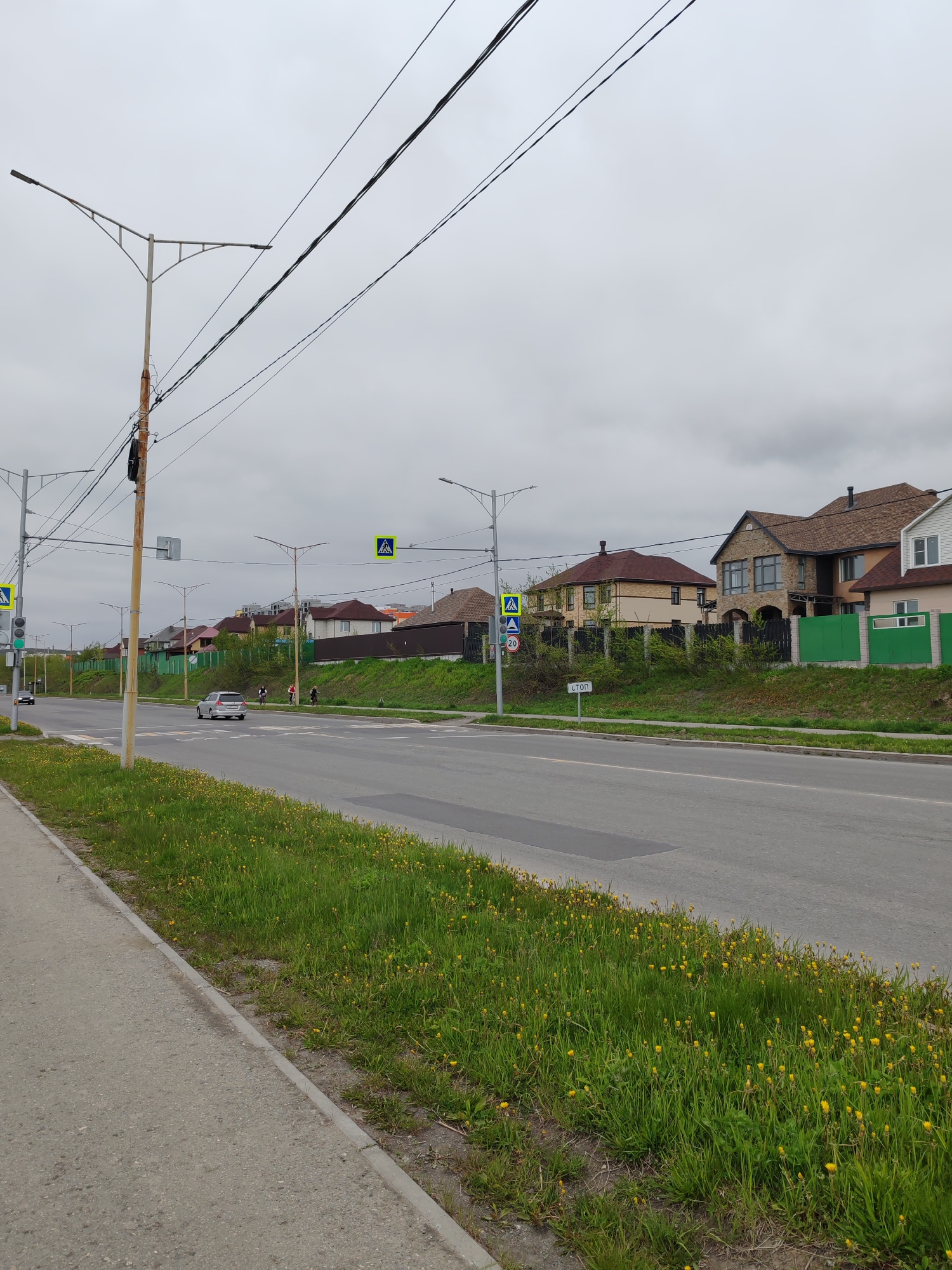 The image depicts a suburban street scene in Petropavlovsk-Kamchatsky, Russia, under an overcast sky. A paved road runs horizontally through the frame, with a sidewalk on the left and a grassy embankment dotted with yellow wildflowers on the right. Several houses with pitched roofs are visible on the embankment. Streetlights and overhead power lines crisscross the sky. A silver car is driving on the road, and two cyclists are also present. Pedestrian crossing signs and a speed limit sign (20) are posted. The overall environment suggests a residential area on the outskirts of the city.