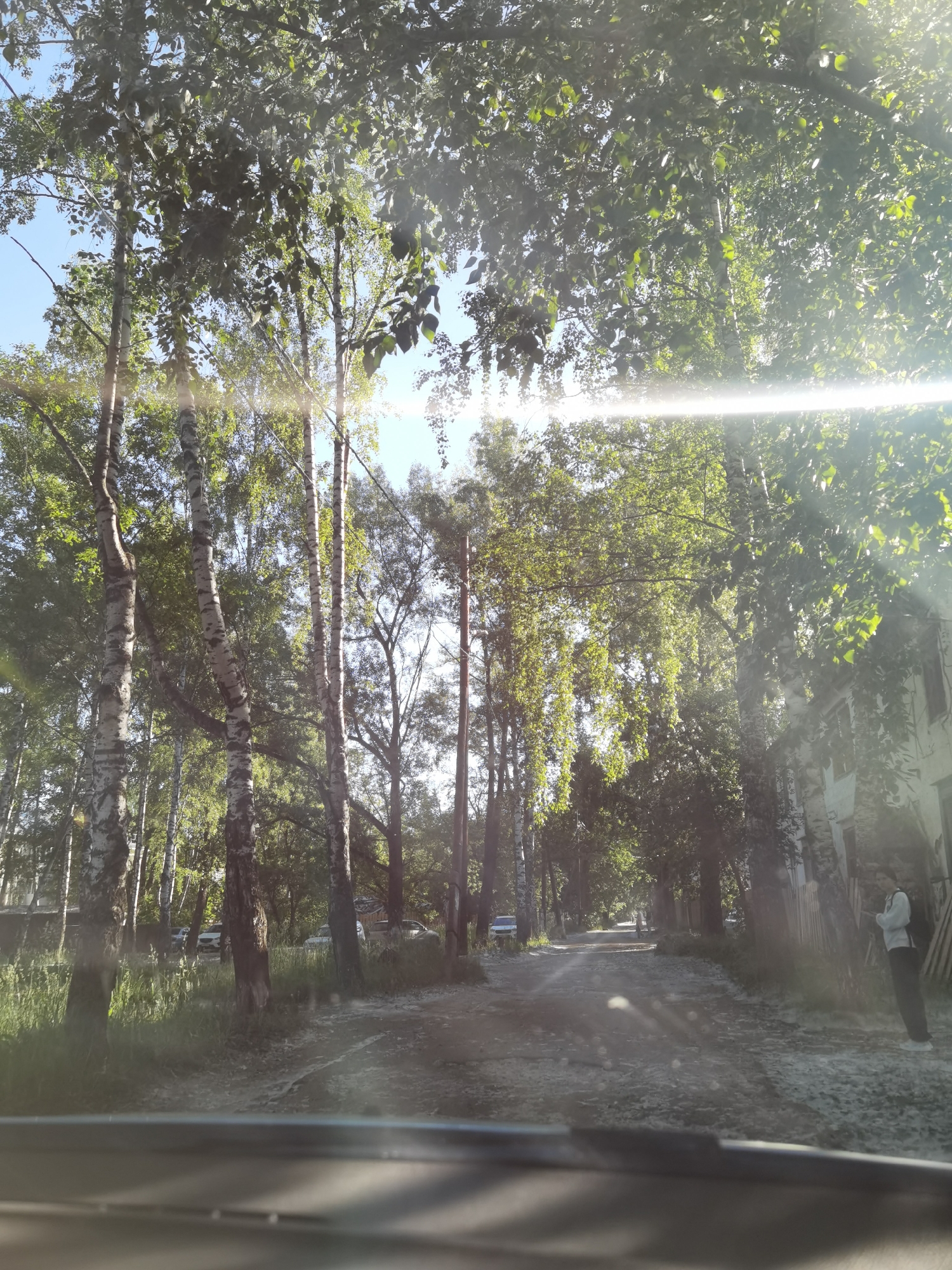 The image depicts a sun-drenched, unpaved road lined with birch trees and other foliage. The scene appears to be on the outskirts of Chaikovsky, Russia, given the characteristic birch trees and the overall aesthetic. Sunlight streams through the leaves, creating a dappled effect and lens flare. On the right side of the road, a young woman stands near a fence, looking down at her phone. In the distance, several cars are parked along the road, suggesting a residential area or a place where people gather. The road itself is dusty and appears to be in a somewhat neglected state, with vegetation growing on its edges. The presence of houses or buildings can be inferred from the structure on the right. The overall impression is of a warm, summer day in a semi-rural or suburban setting.