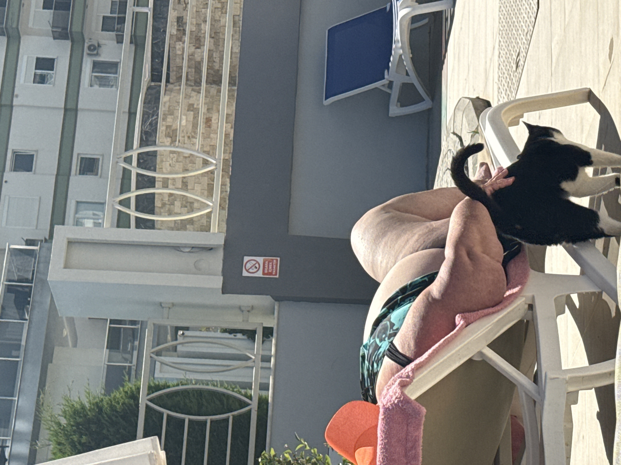 The image captures a scene outdoors. A person wearing a blue and black patterned swimsuit is sitting on a white plastic chair. A pink towel is draped over the chair. A black and white cat is on the person's lap. The setting is near a building with windows and a decorative fence. A 'No Smoking' sign is visible on the building. A blue beach chair is also visible. The location is an unknown city.