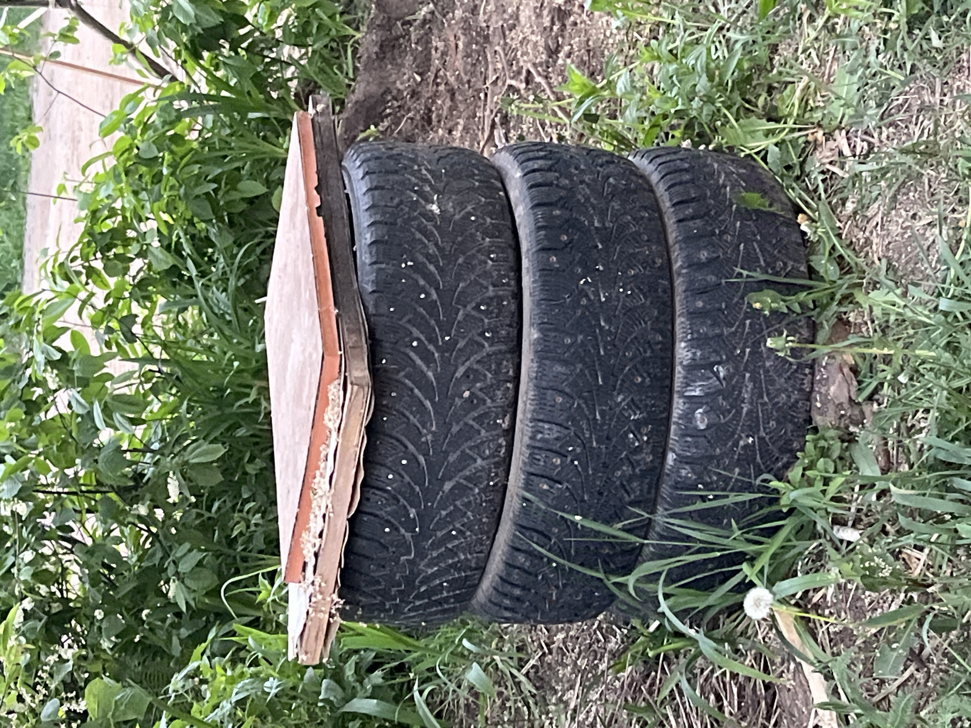 The image shows three black tires stacked together and leaning against a wooden board in a grassy area. The tires appear to be studded snow tires. The location is Unknown, Unknown. The environment consists of vegetation and soil.