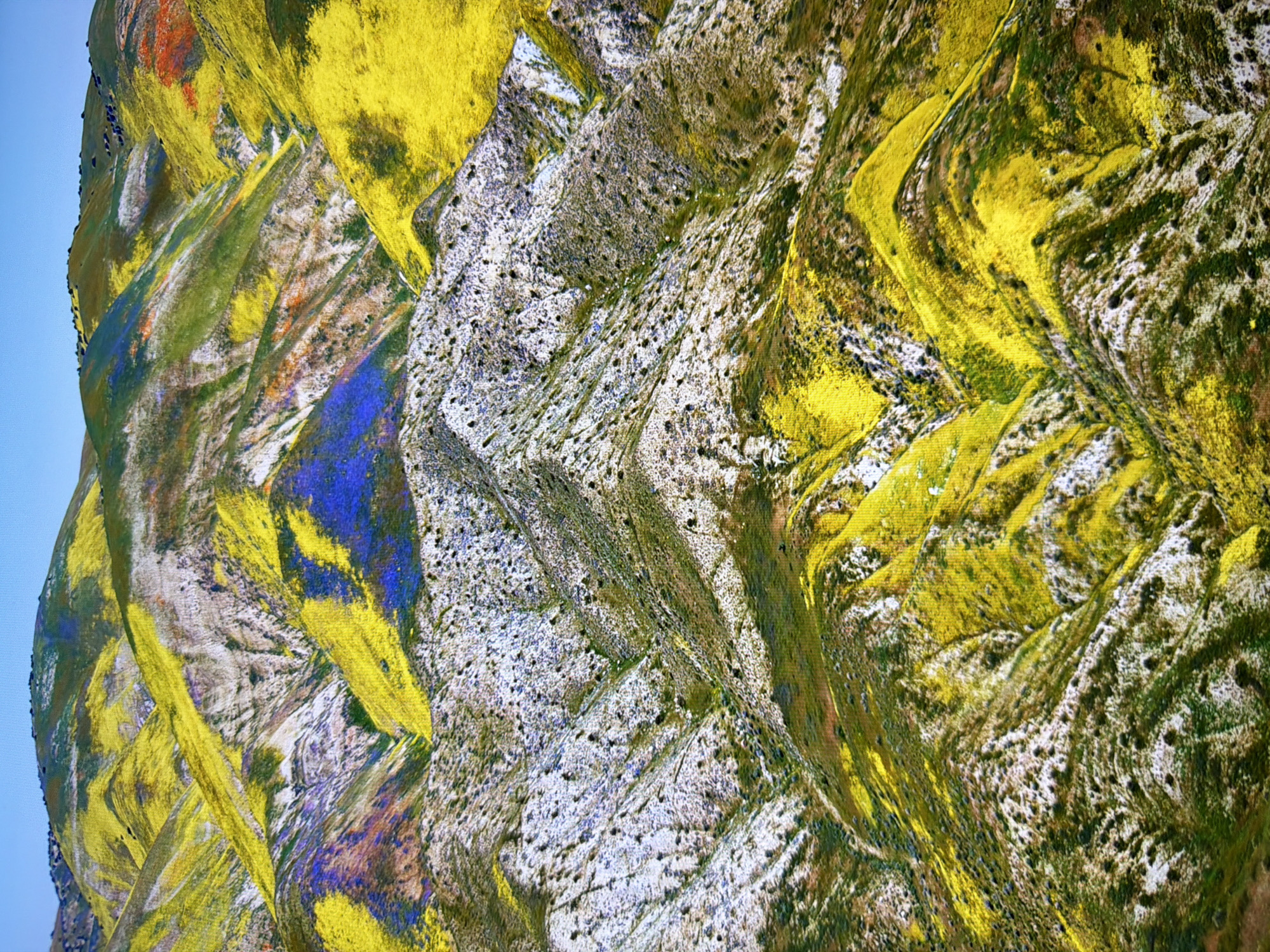 The image depicts a landscape of rolling hills covered in a vibrant display of wildflowers. The hills are predominantly a mix of green and tan, with patches of bright yellow, purple, and orange flowers creating a striking contrast. The terrain is uneven, with steep slopes and valleys. The sky above is a clear, pale blue. There are no people, buildings, or man-made objects visible in the image. The scene is a natural landscape. The location is not Kyiv, Ukraine.