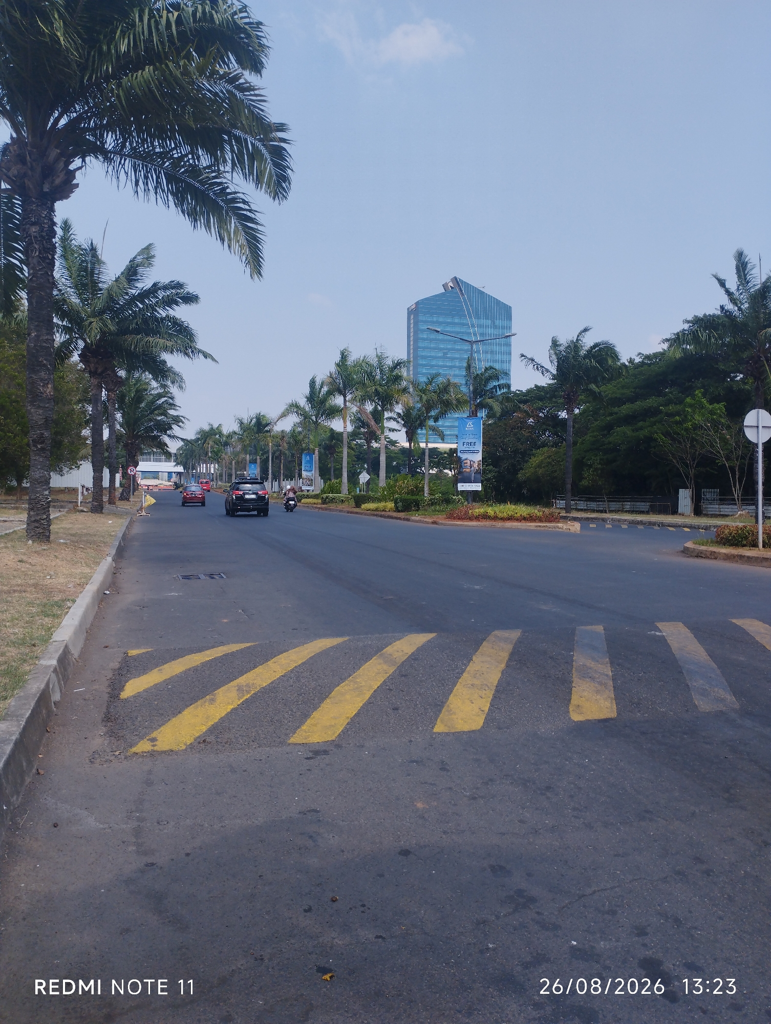 The image shows a street scene in Karawang, Indonesia. In the foreground, yellow pedestrian crossing markings are visible on the asphalt road. To the left, a sidewalk with dry grass and a concrete curb lines the road. Palm trees are abundant along the street. In the middle ground, several cars, including a black SUV and a red sedan, are driving on the road. A motorcycle is also visible. A blue and white banner with the word "FREE" is displayed on a pole. In the background, a modern glass-faced skyscraper stands tall against a clear sky, surrounded by lush green trees. The overall environment appears to be a well-developed urban area.