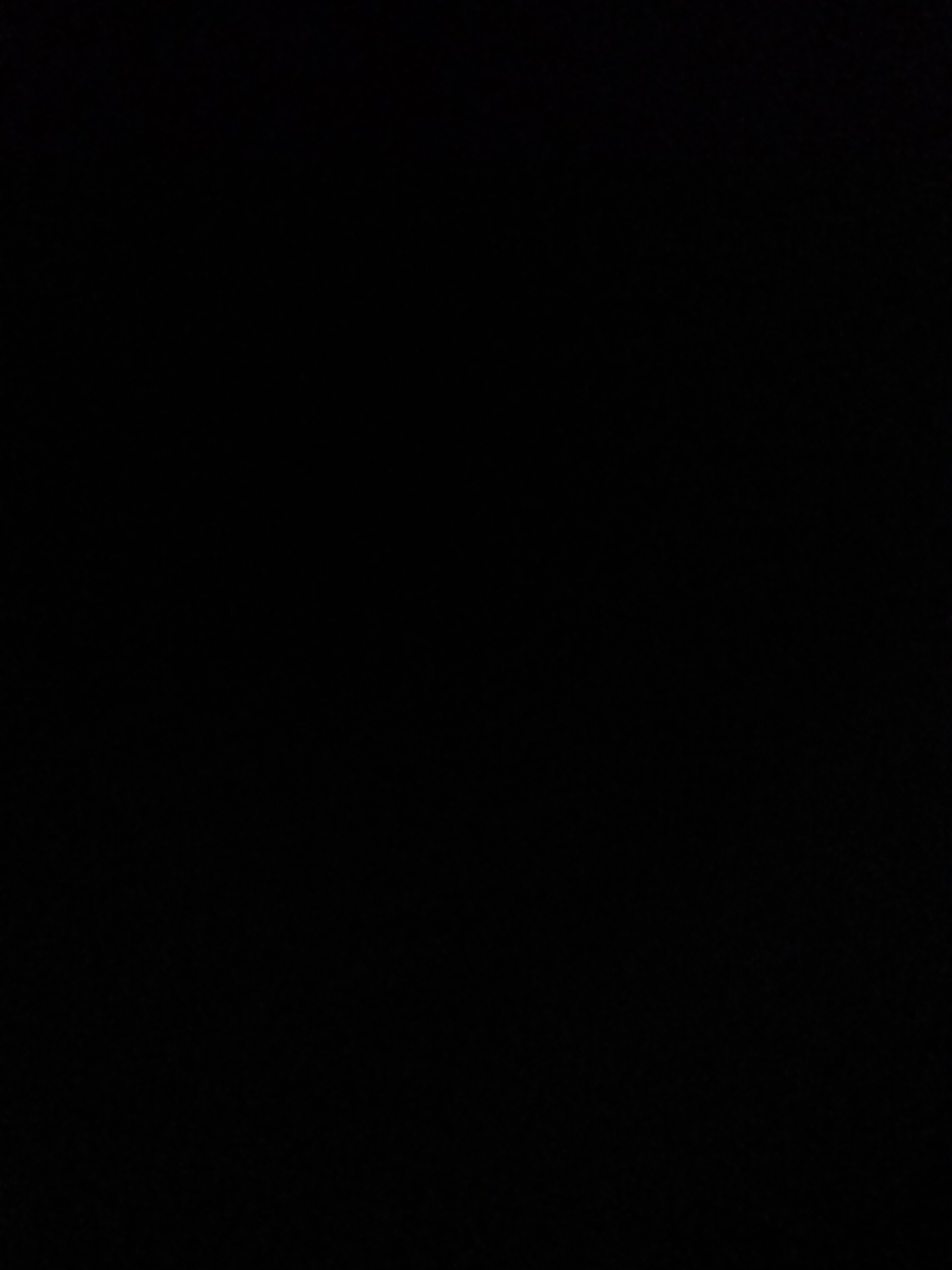 The image is a black rectangle. There are no discernible subjects, objects, actions, or environmental details present.