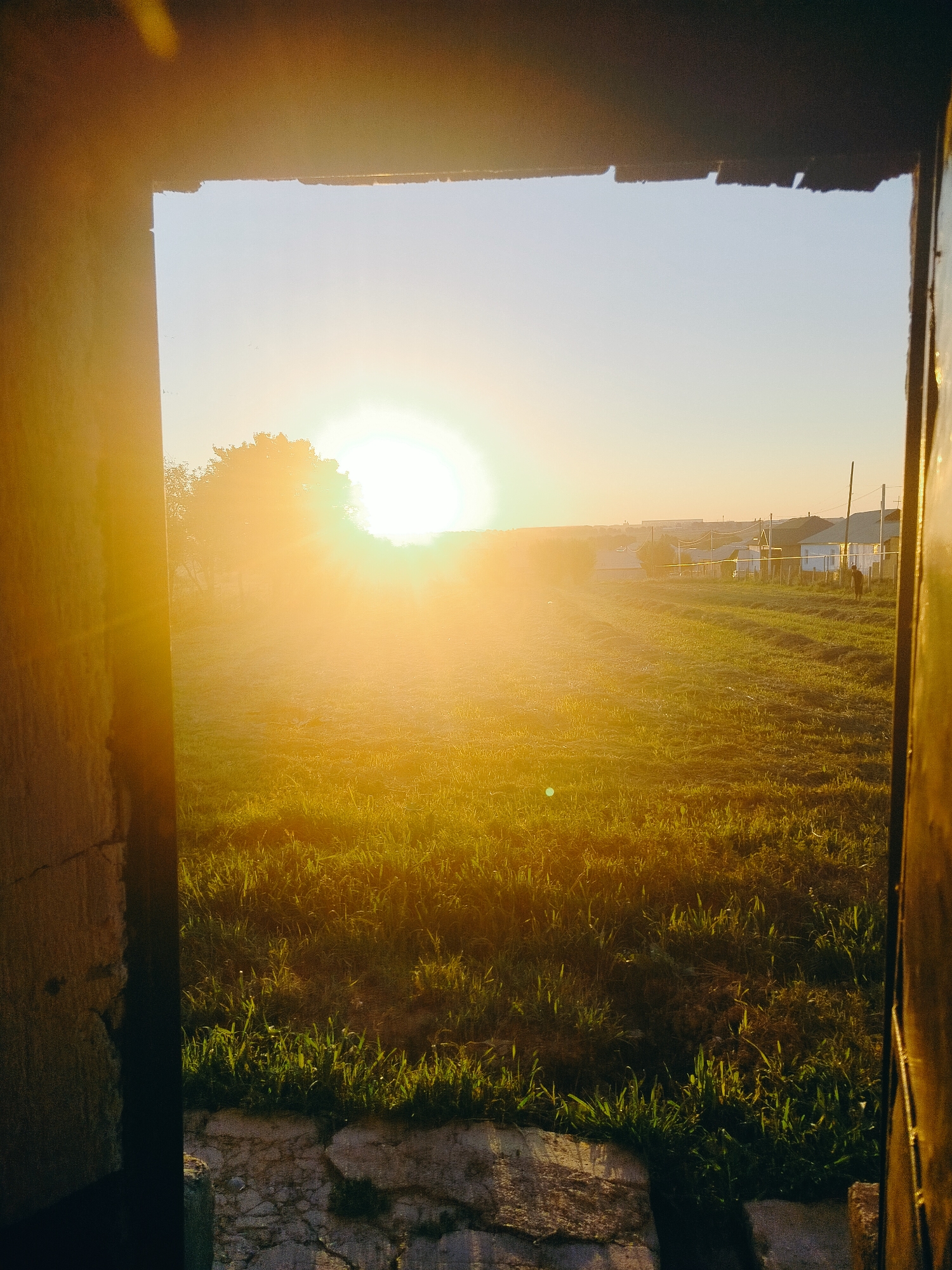 The image is a view through an opening, likely a doorway or window, of a grassy field bathed in the golden light of a sunset. The sun, a bright orb, is partially obscured by a tree on the left side of the frame. In the distance, a village or small town is visible with houses and utility poles. A solitary figure, possibly a person, can be seen walking in the field. The foreground shows rough, textured ground with patches of grass. The overall impression is a rural landscape at dusk.