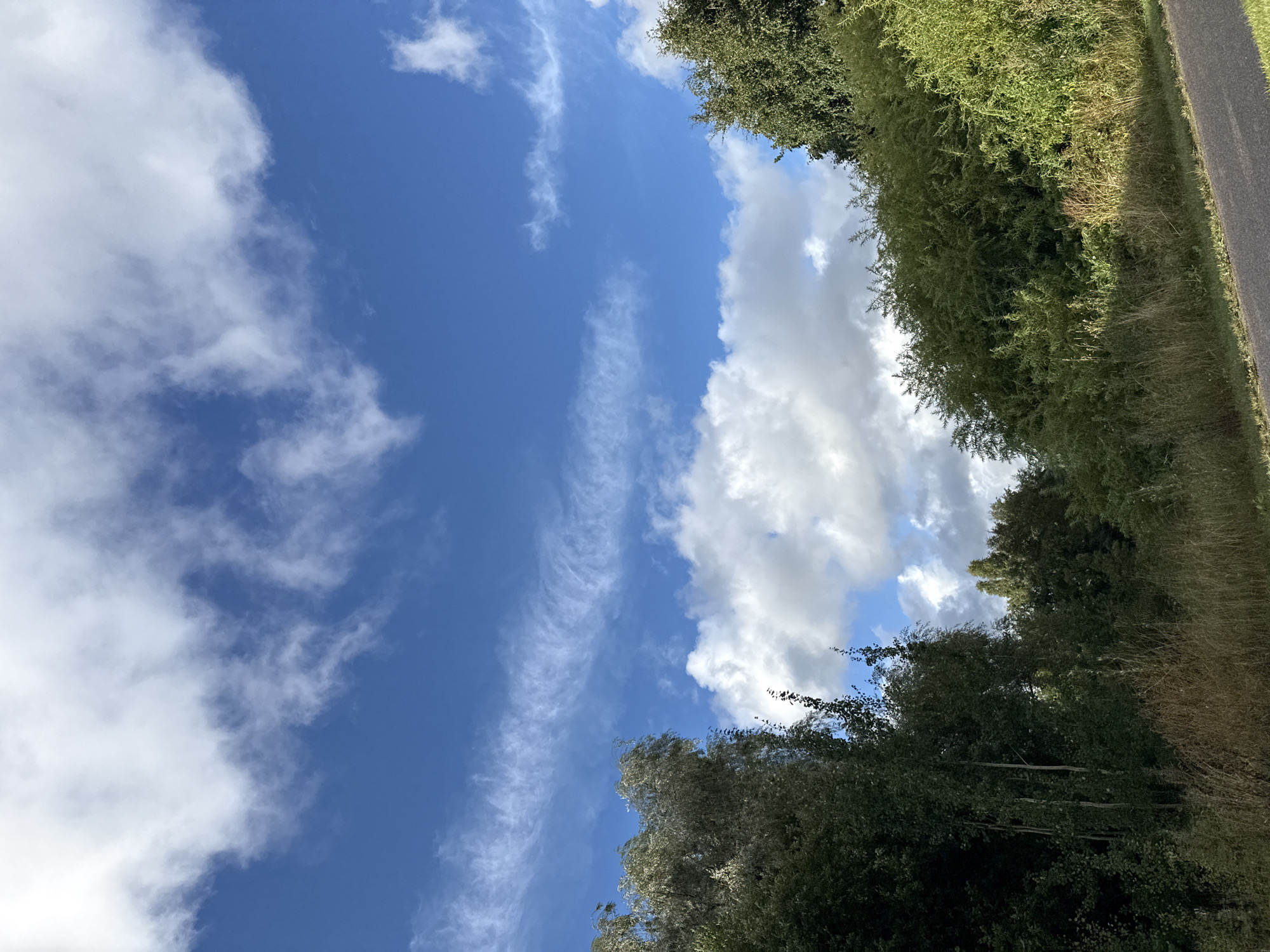 The image depicts a bright, partially cloudy sky with a predominantly blue hue. Scattered white clouds, ranging from wispy streaks to more voluminous formations, drift across the sky. The perspective is looking upwards, with the horizon not visible.
Along the right side of the frame, a dense line of lush green trees and foliage runs vertically. The vegetation appears healthy and vibrant, suggesting a warm season. To the far right, a narrow, dark grey paved surface, likely a road or pathway, is visible. The lighting suggests it is daytime, with the sun casting a clear light on the scene. The overall mood is serene and natural. There is no visible text in the image.