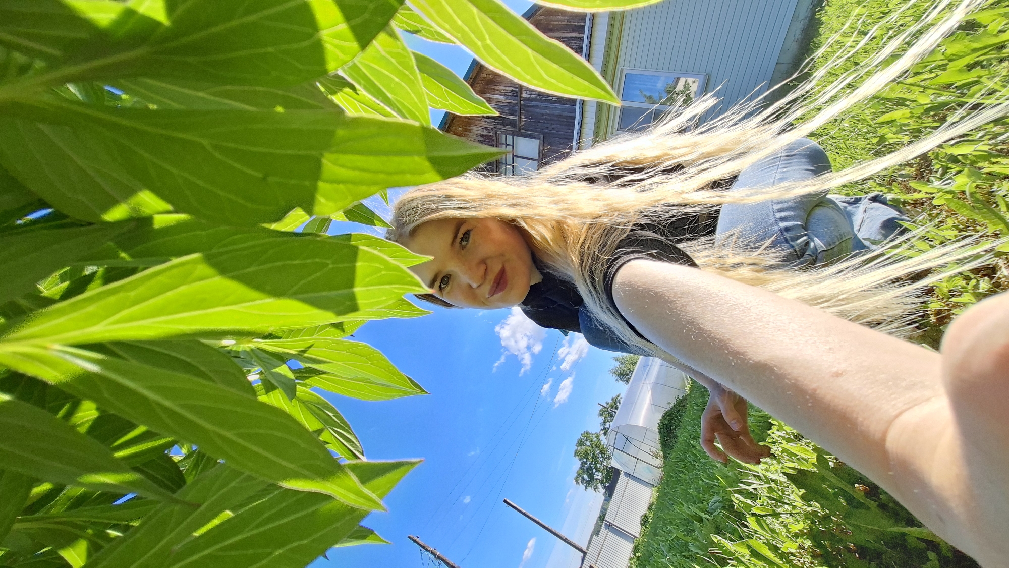 A woman is outdoors in Большой Букор, Russia, partially obscured by green leaves, likely taking a selfie. She has long, blonde hair blowing in the wind, and is wearing a black top and blue jeans. Her right arm and hand extend towards the camera. Behind her are green fields and a white greenhouse-like structure. In the background, there's a two-story wooden building with a light blue side and dark brown gabled roof. The sky is bright blue with scattered clouds.