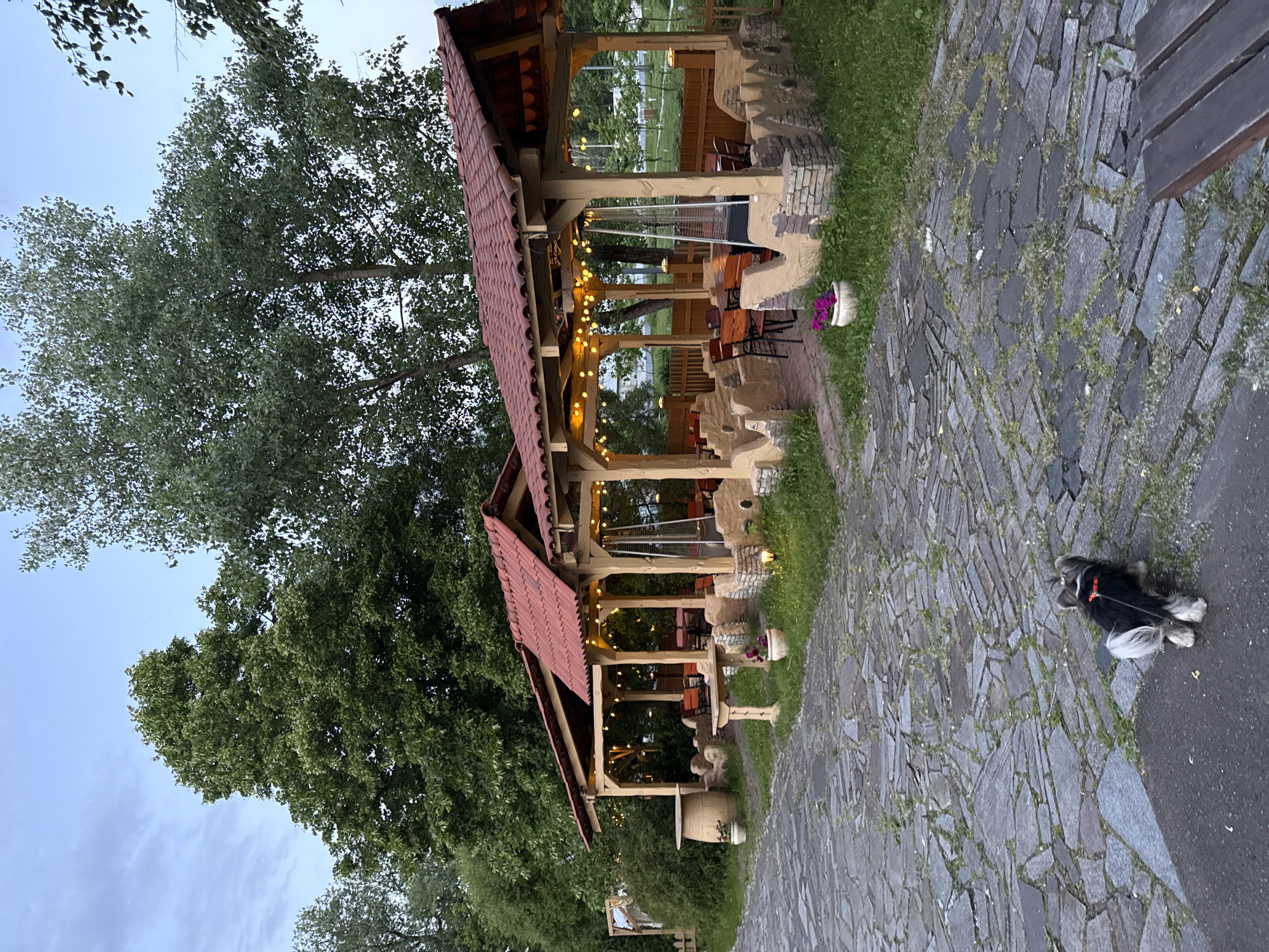 An outdoor scene at dusk in Moscow, Russia, features a rustic wooden gazebo with a red tiled roof, situated amidst lush green trees. The gazebo is adorned with numerous fairy lights strung across its interior, illuminating tables, chairs, and a patio heater, suggesting it's prepared for evening gatherings. Its structure includes substantial wooden support beams and built-in stone or stucco elements.
The sky above is a pale blue-grey, indicating late evening or overcast conditions. A paved walkway of irregular stone slabs, with grass growing between the cracks, extends from the foreground towards the gazebo. On the right side of this walkway, a small, fluffy dog, black and white with a red collar, lies resting. A wooden bench is also visible on the right, and a potted plant with purple flowers adds a touch of color near the gazebo. The scene appears peaceful and inviting. No people are visible, and there is no discernible text.