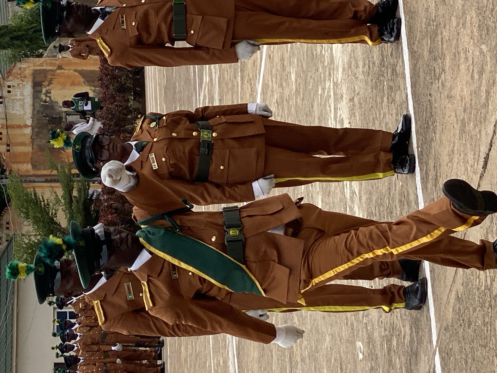 The image shows a line of people in uniform standing at attention. The uniforms are brown with yellow trim and green sashes. The people are wearing dark hats with green and yellow plumes. Some of the individuals are wearing white gloves. The setting appears to be outdoors, possibly on a paved area with a white line marking. In the background, there are some buildings and trees. One building is light colored with visible windows. The trees are green and lush, suggesting it might be a warm season. The ground is a light brown, textured surface. The people are standing in formation, suggesting some kind of parade or ceremony. The lighting suggests it is daytime. There are no visible signs of specific weather conditions. The image is a photograph.