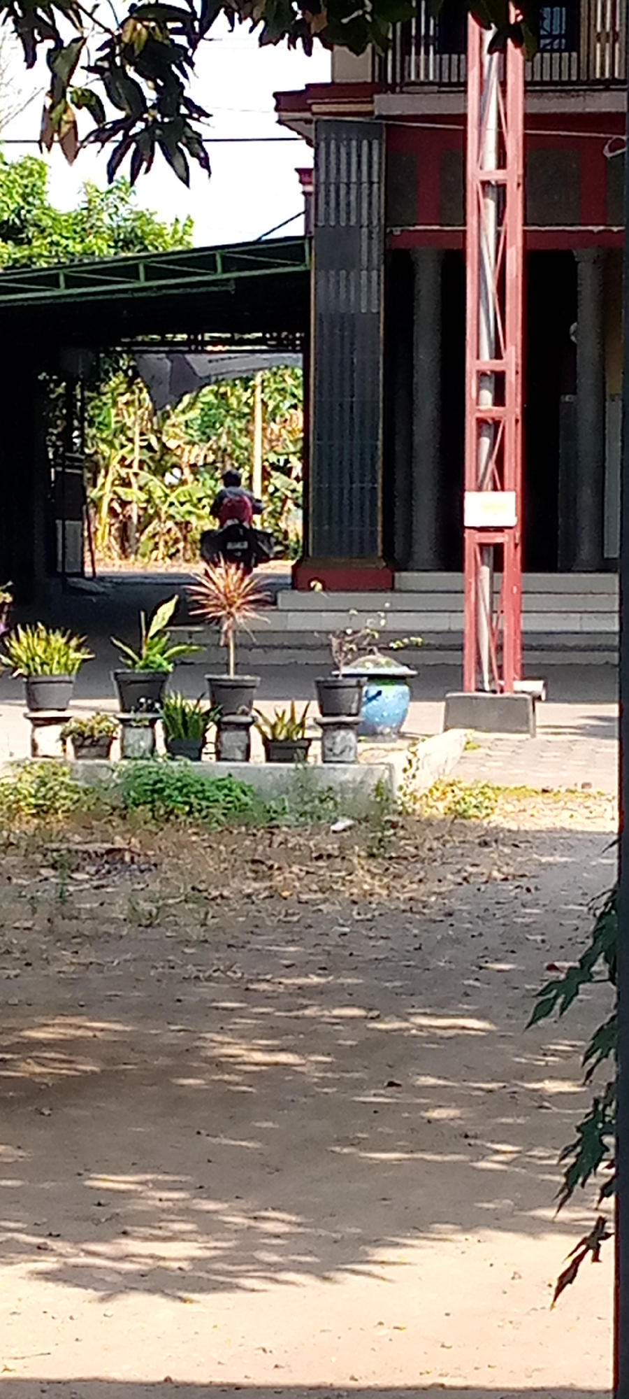 The image depicts an outdoor scene with a partially visible building and vegetation. In the foreground, there is a dirt path with shadows cast from overhead leaves, indicating a sunny day. Several potted plants are arranged on a concrete ledge. Behind the plants, a person on a motorcycle is visible riding away from the camera, entering a covered area with a green roof. The building behind them has a modern architectural style with prominent columns and red accents. This scene is located in the city of Sumberwono, Indonesia.
